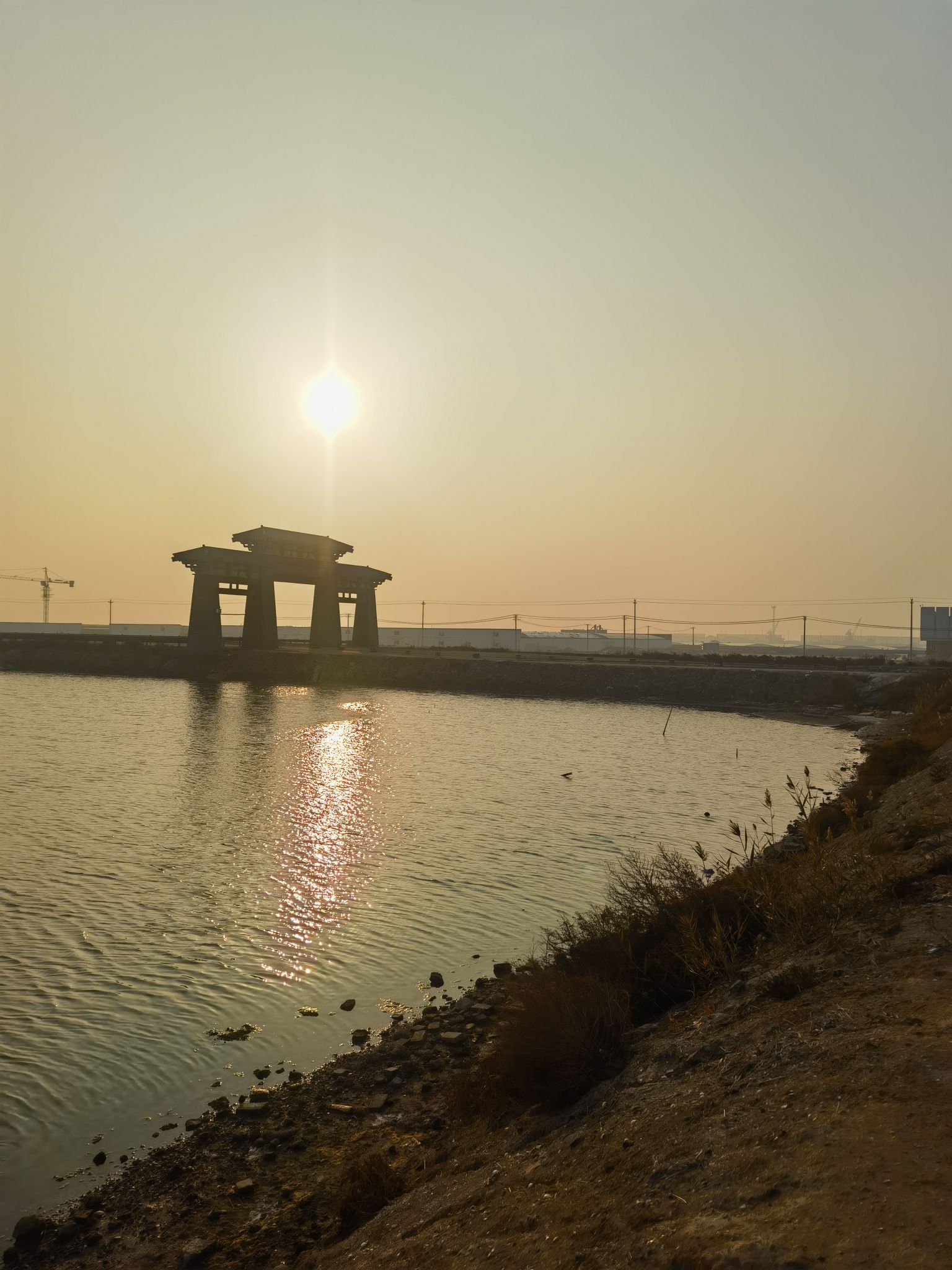 滨州贝壳堤岛与湿地国家级自然保护区旅行图片 3