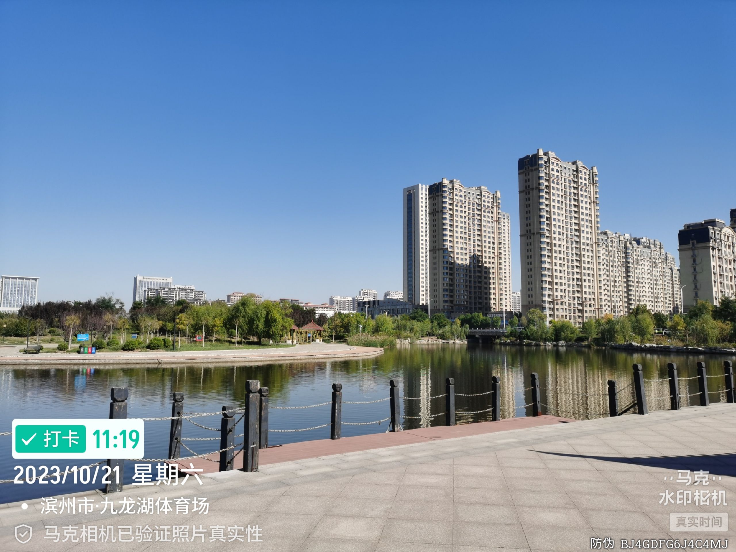 九龙湖公园旅行图片 2