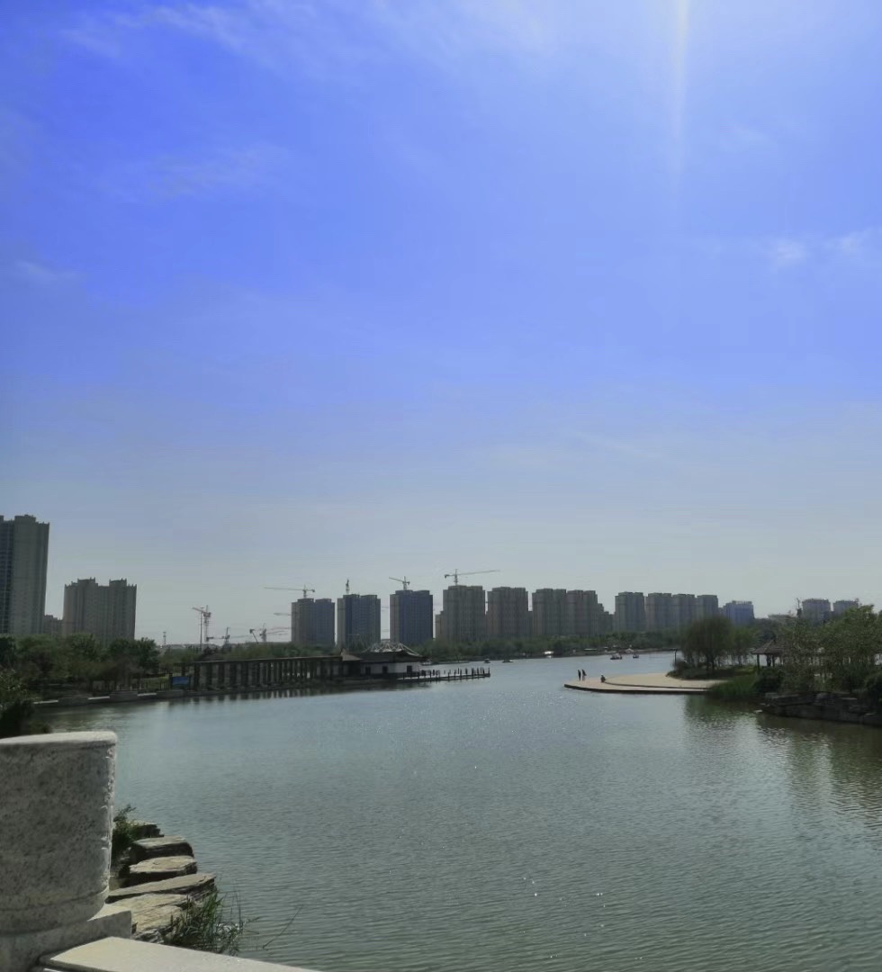 九龙湖公园旅行图片 3