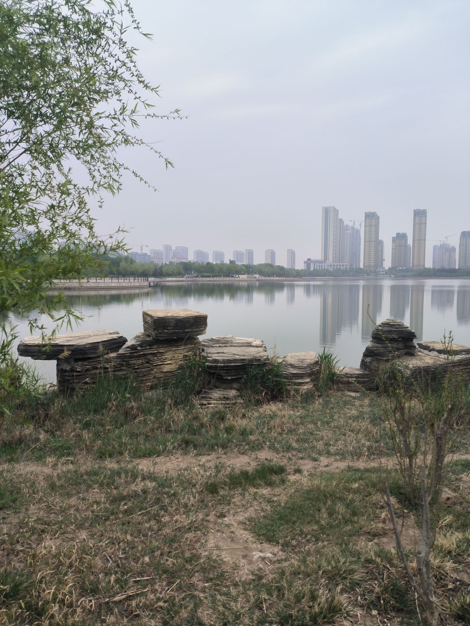 九龙湖公园旅行图片 3
