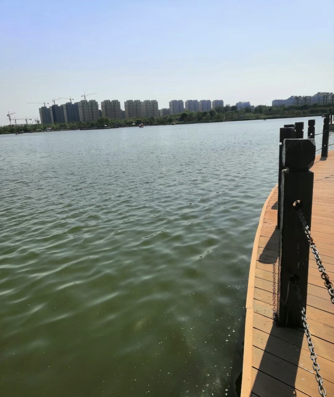 九龙湖公园旅行图片 2