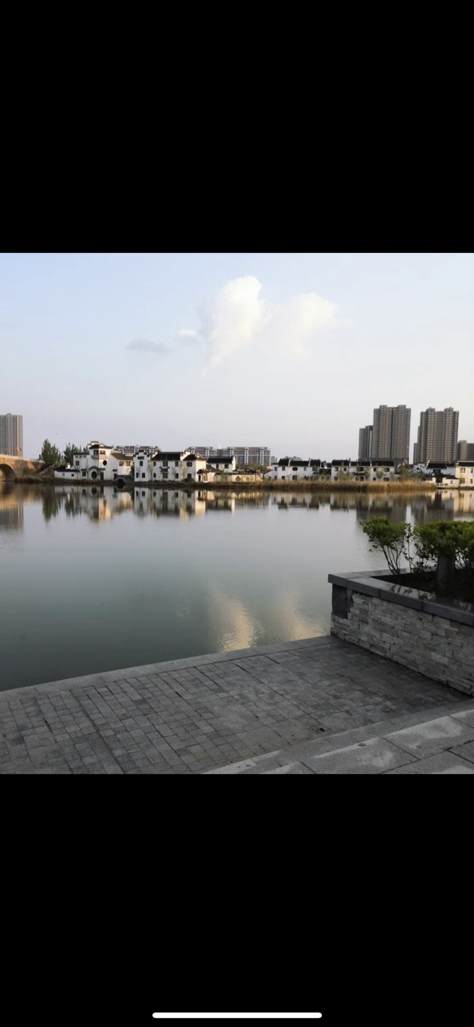 九龙湖公园旅行图片 3
