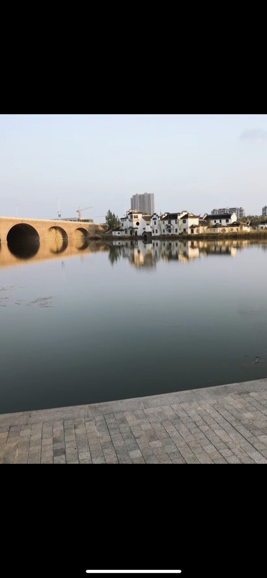 九龙湖公园旅行图片 2