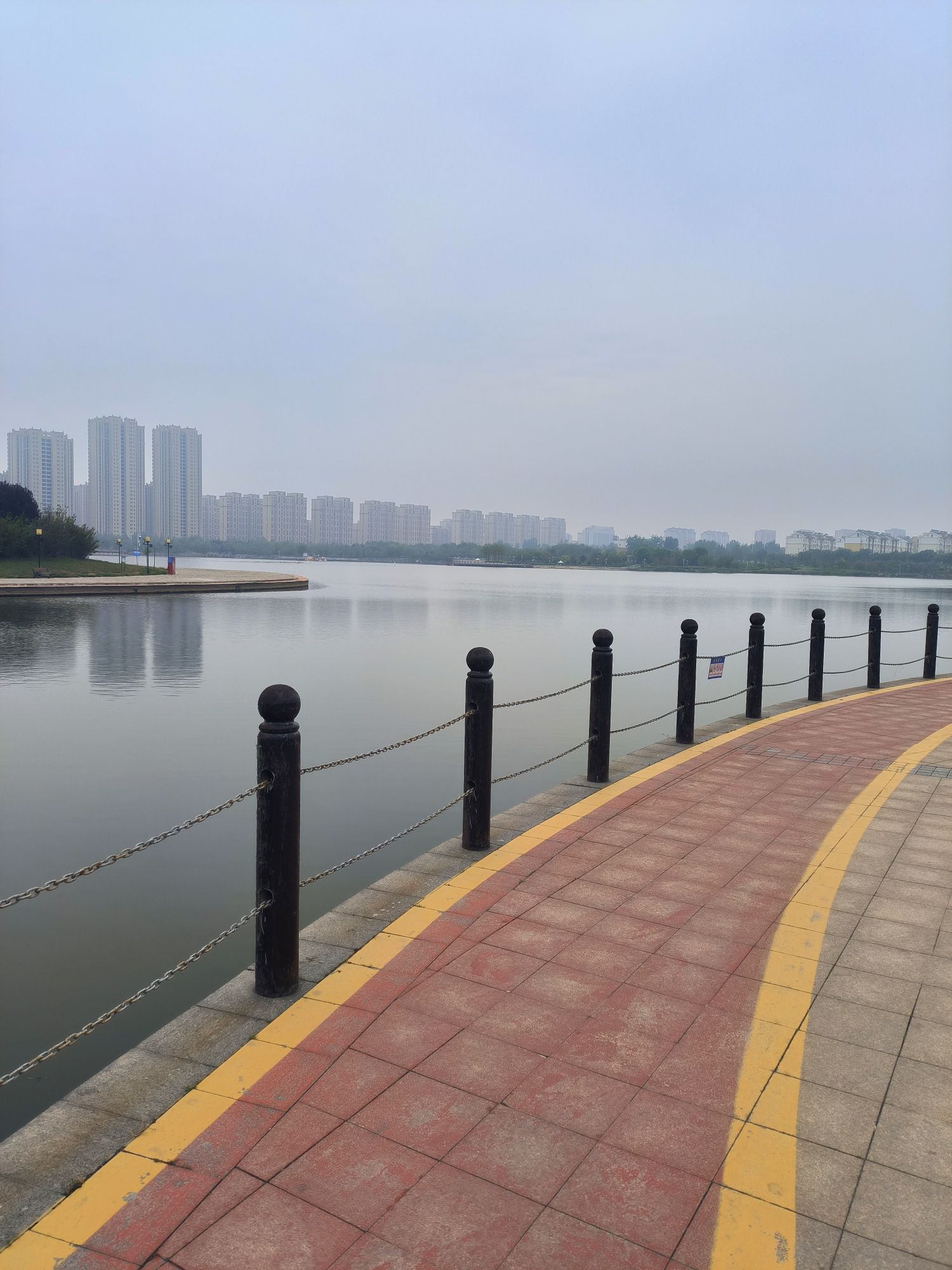 九龙湖公园旅行图片 2