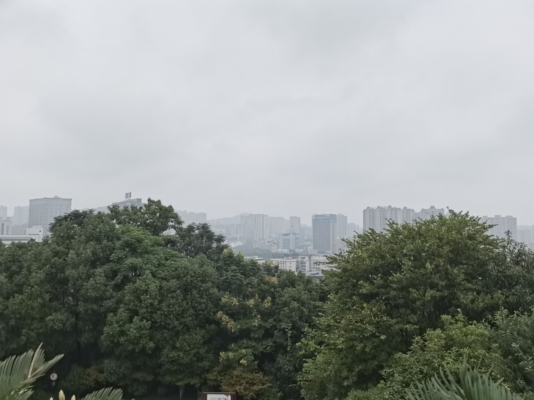 五岭公园旅行图片 2
