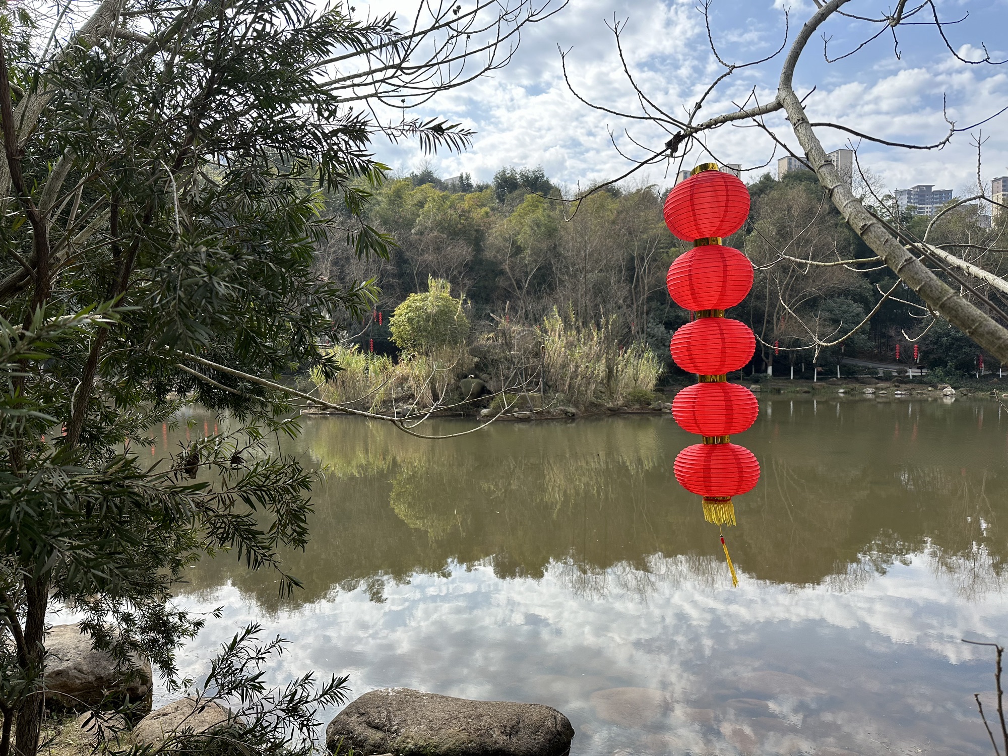五岭公园旅行图片 2