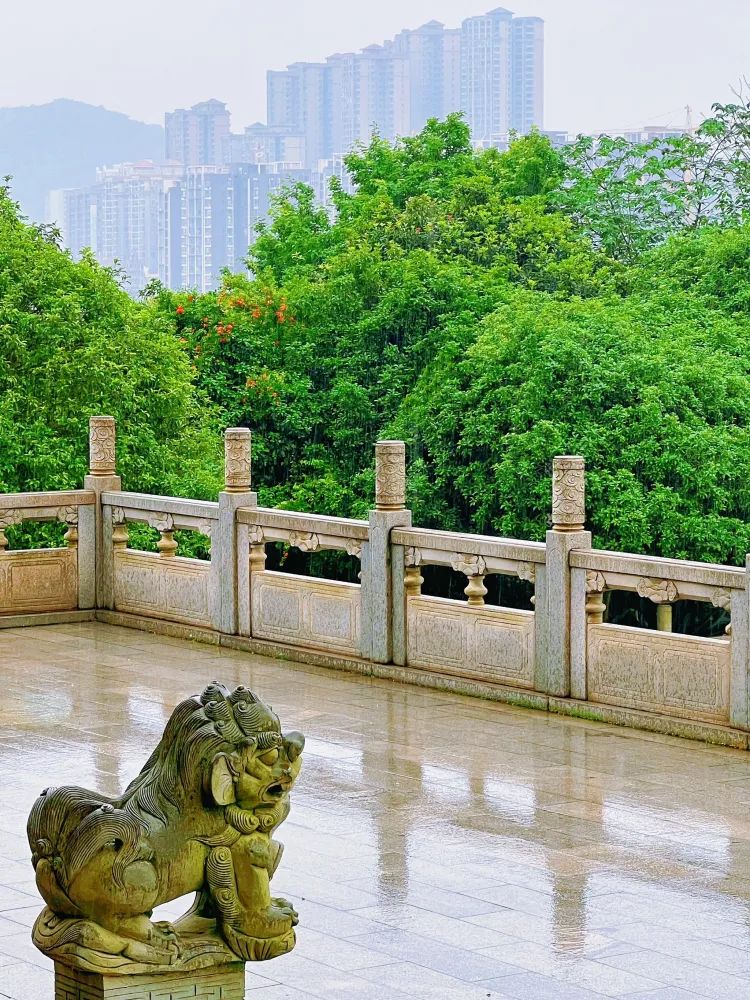 五岭公园旅行图片 3