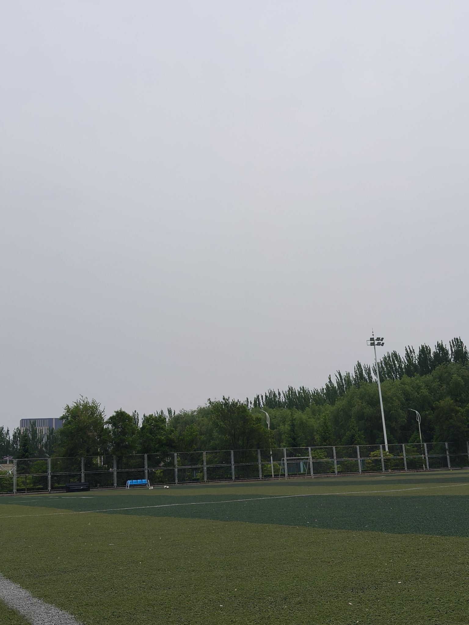 吉林大学前卫南区足球场