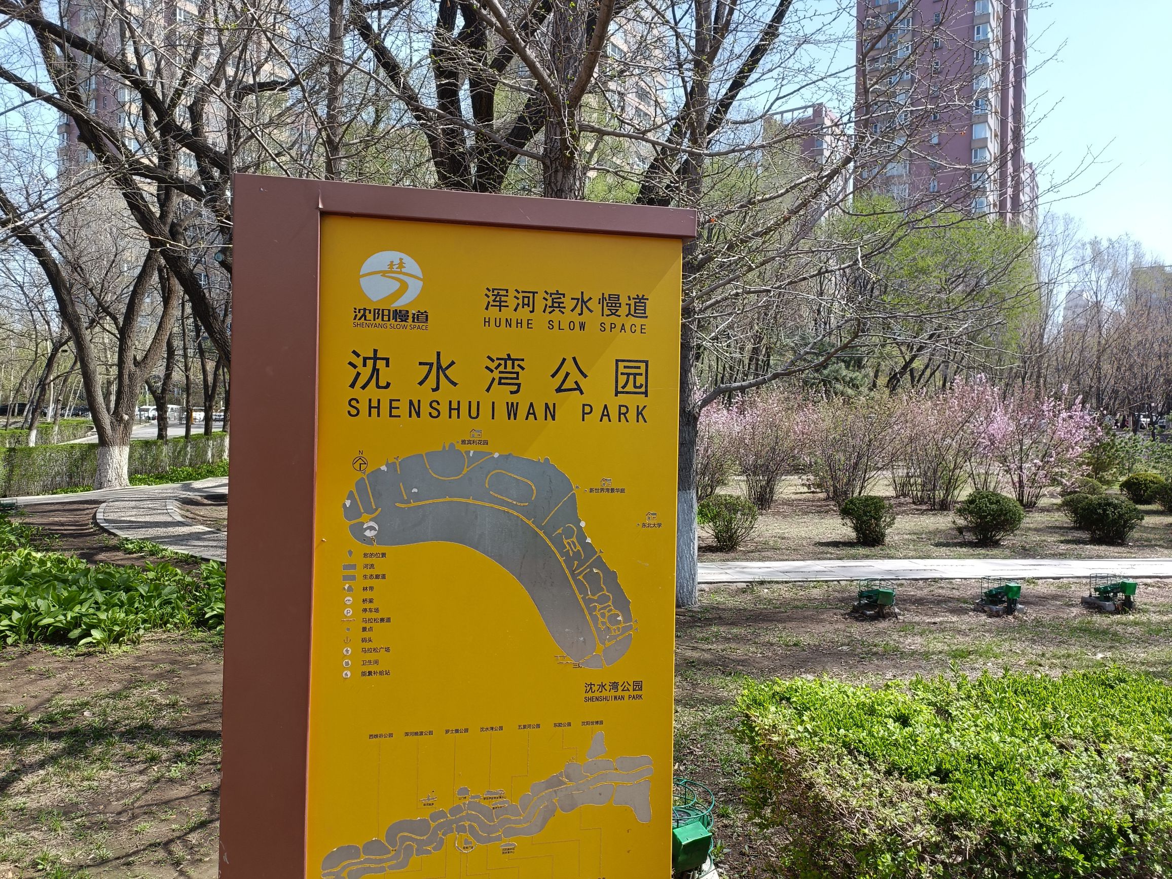 沈水湾公园旅行图片 1