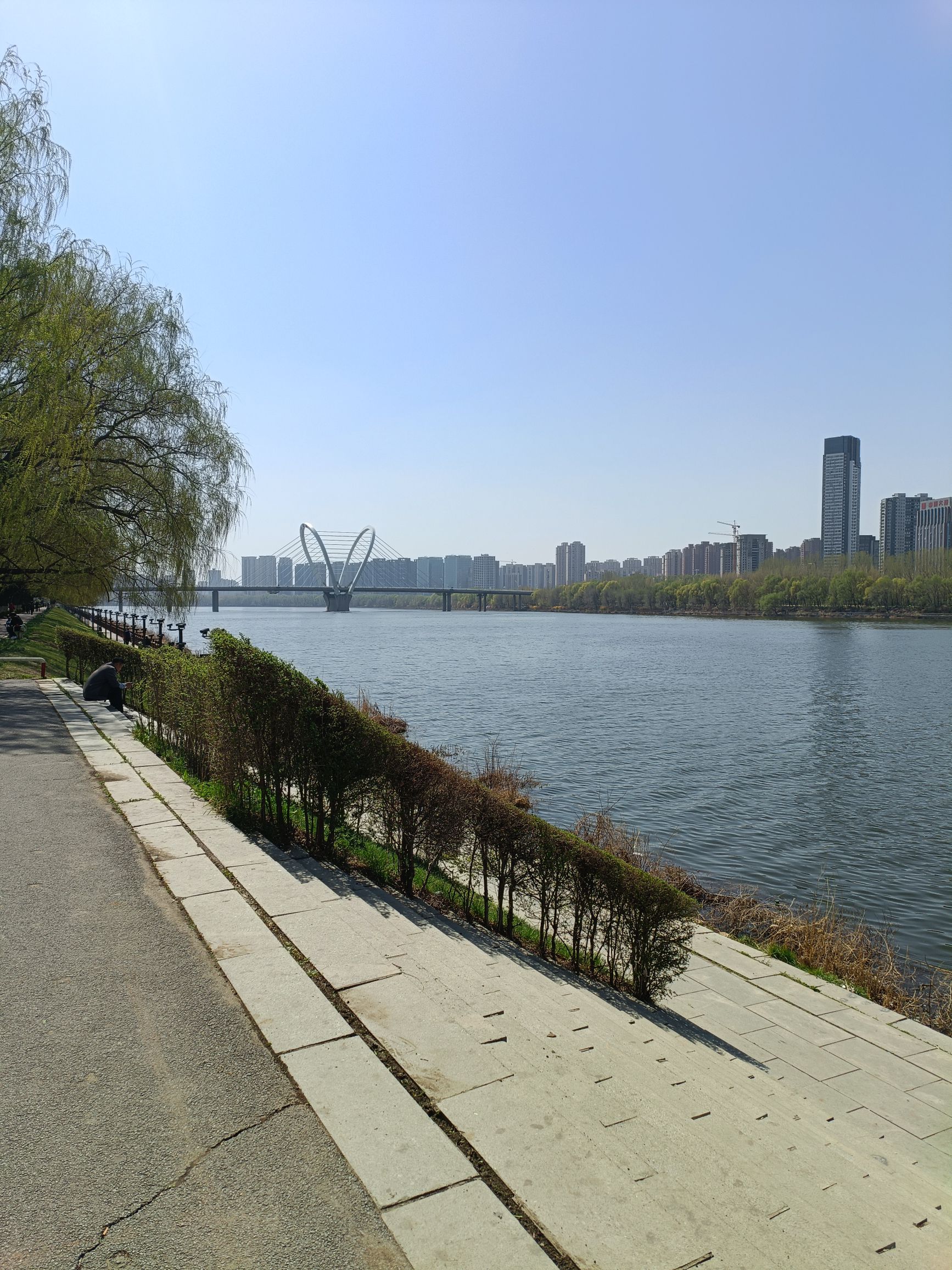 沈水湾公园旅行图片 2