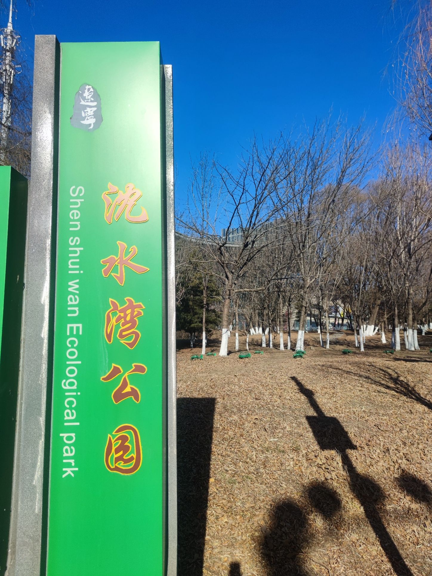 沈水湾公园旅行图片 1