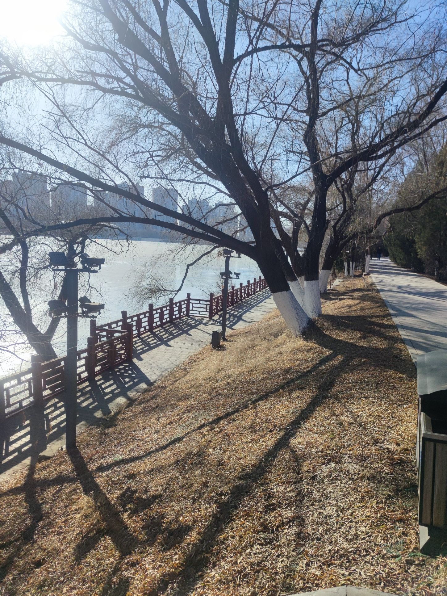 沈水湾公园旅行图片 2