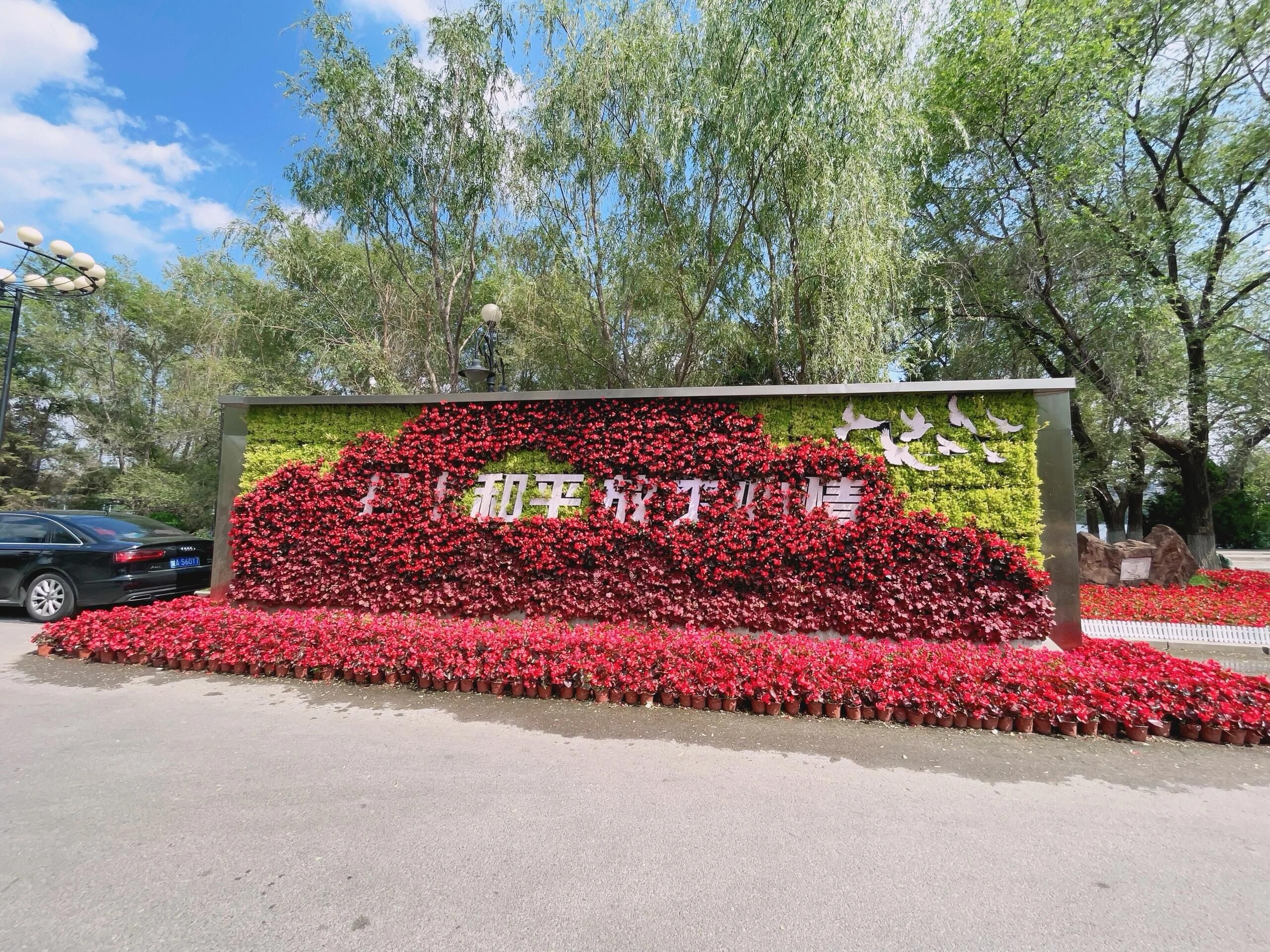 沈水湾公园旅行图片 1