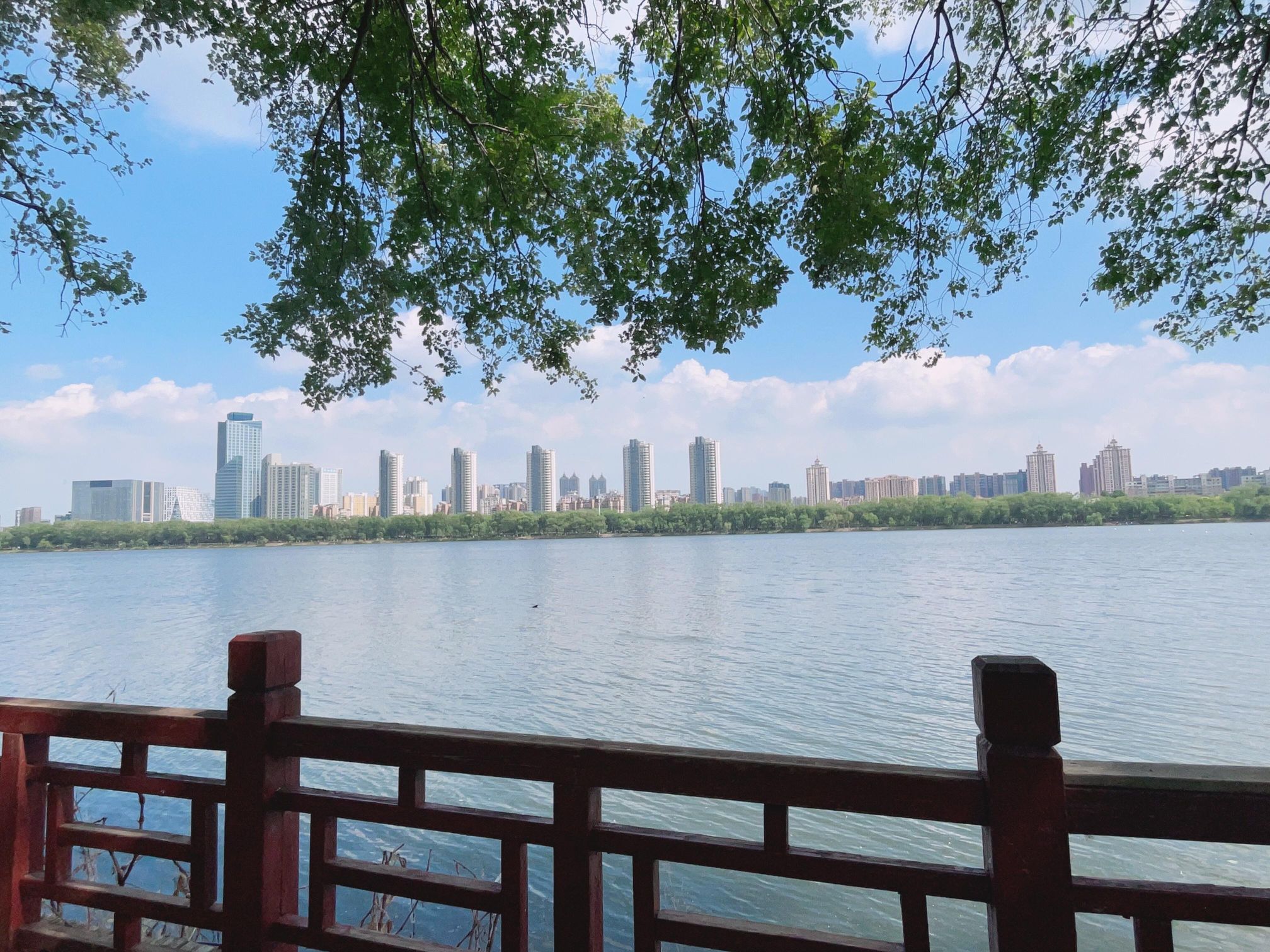 沈水湾公园旅行图片 2