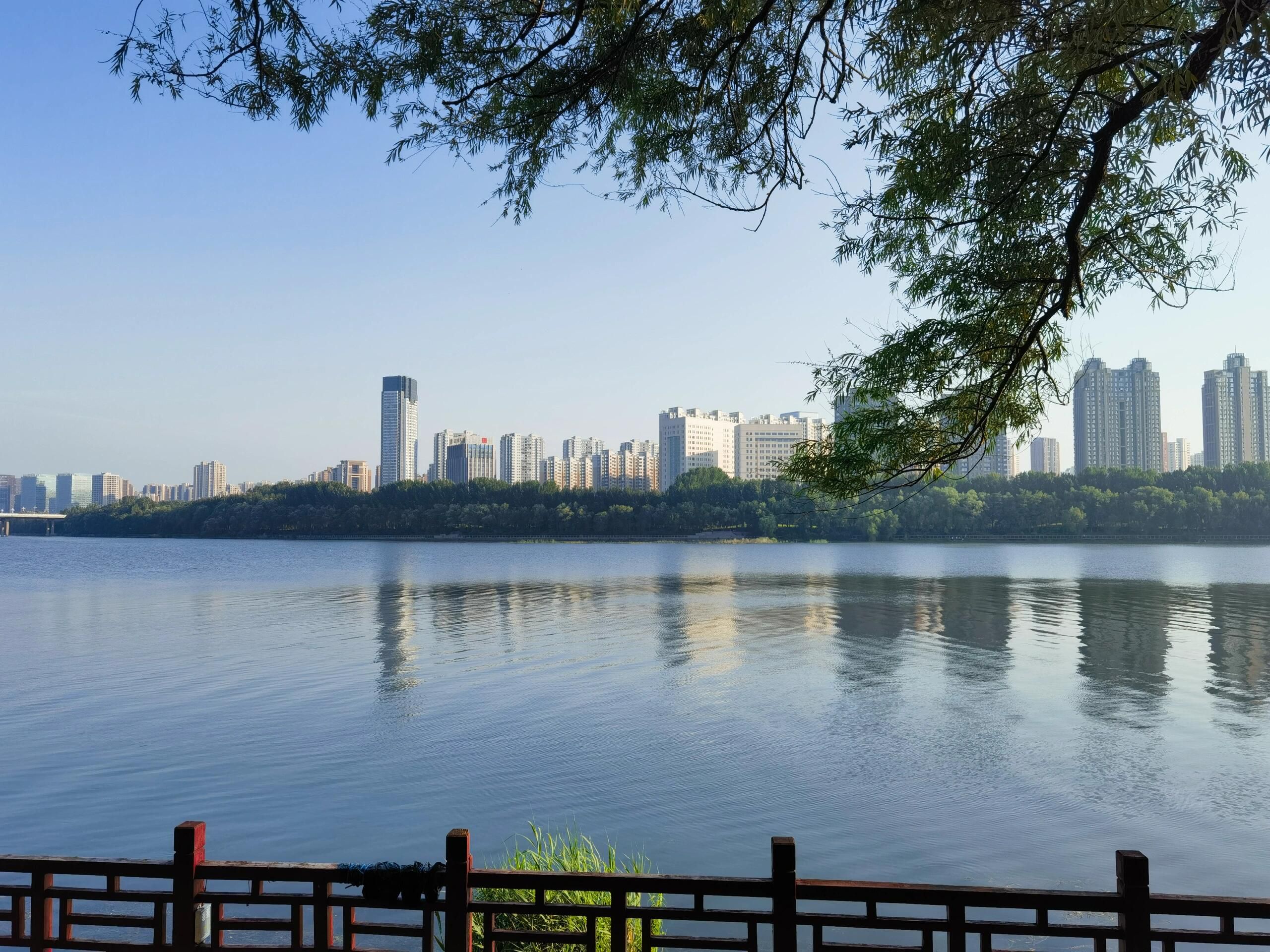沈水湾公园旅行图片 1