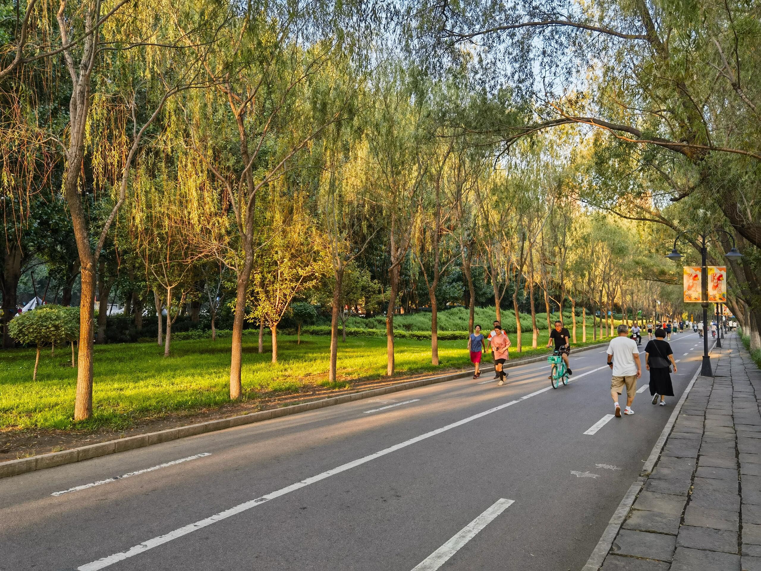 沈水湾公园旅行图片 3