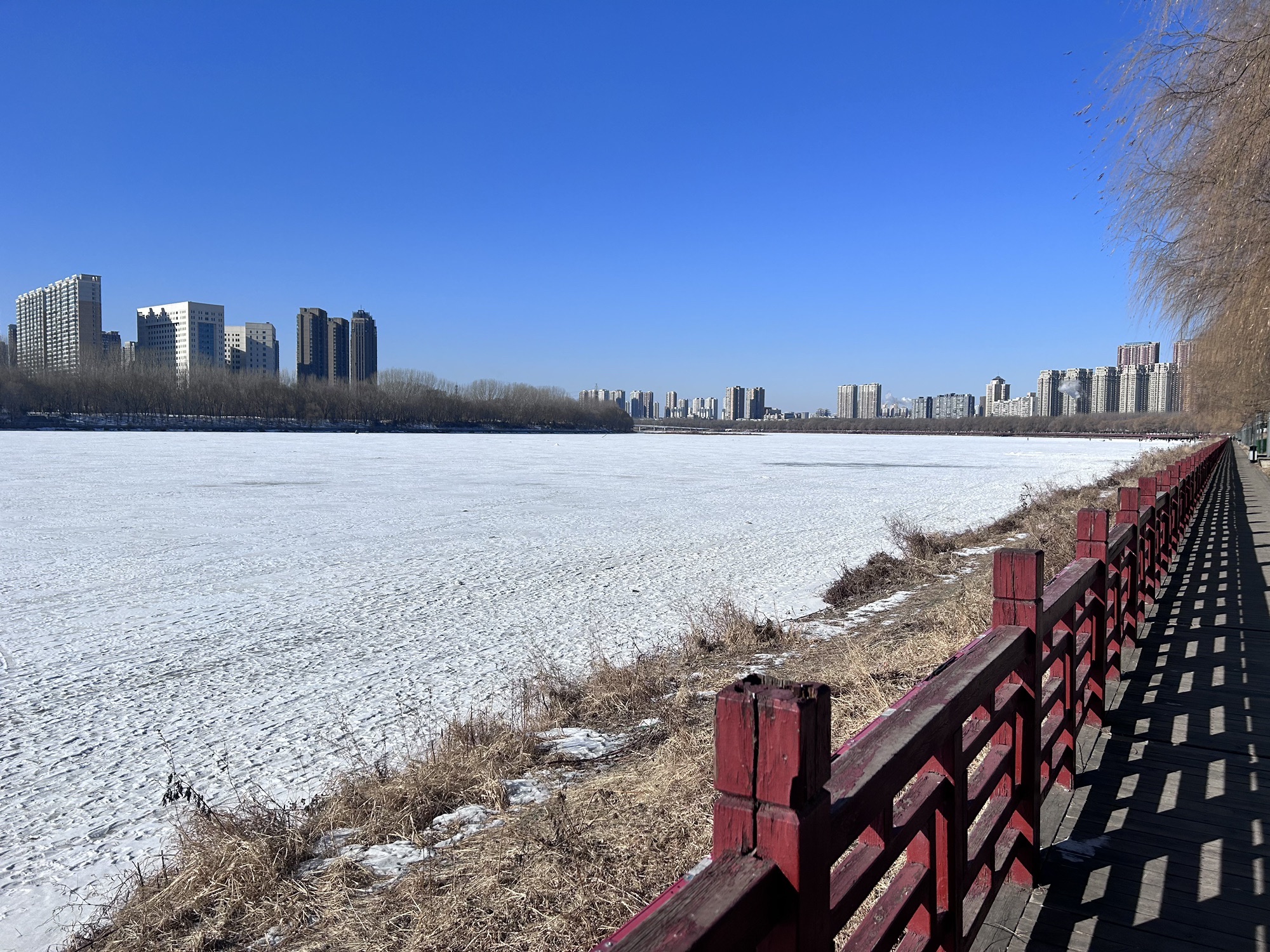 沈水湾公园旅行图片 1