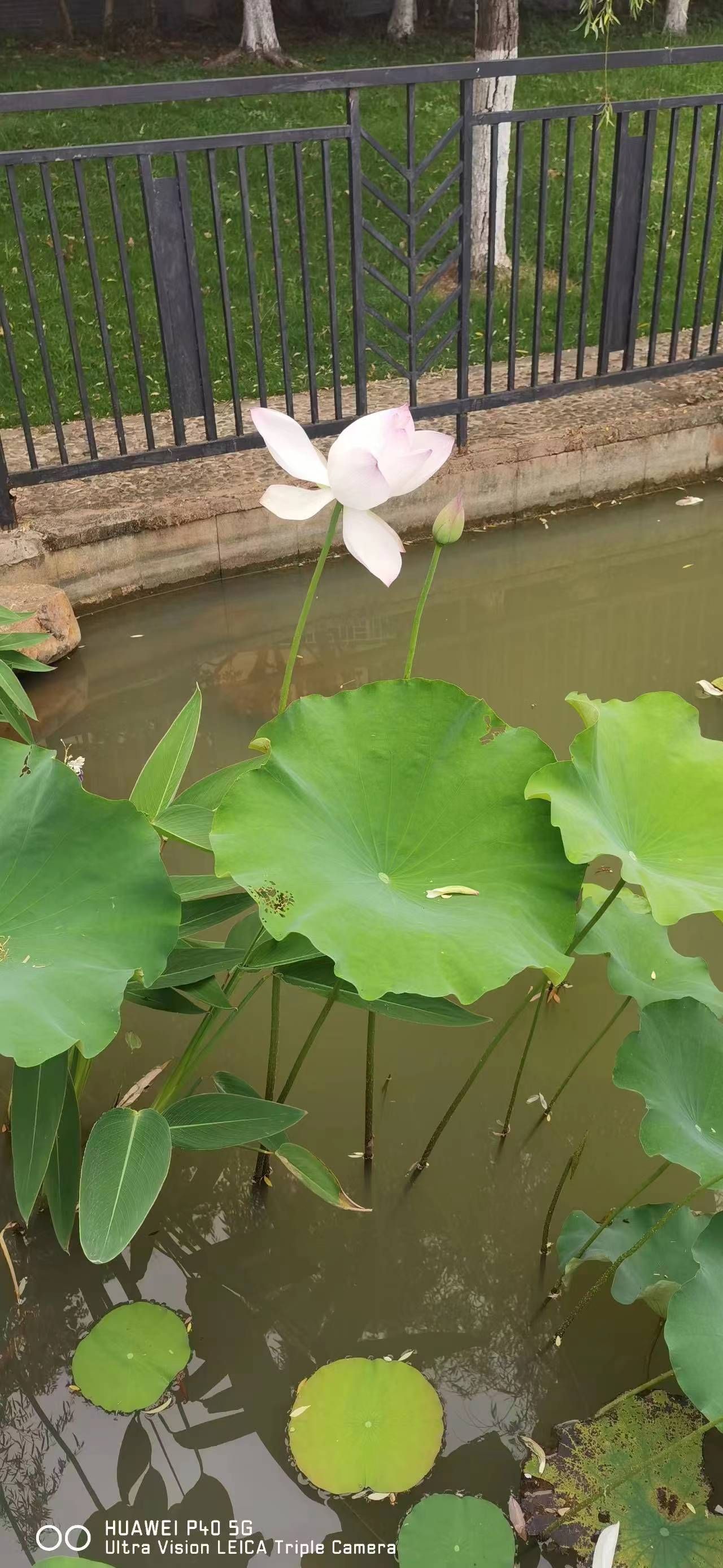 赞贤生态公园旅行图片 1