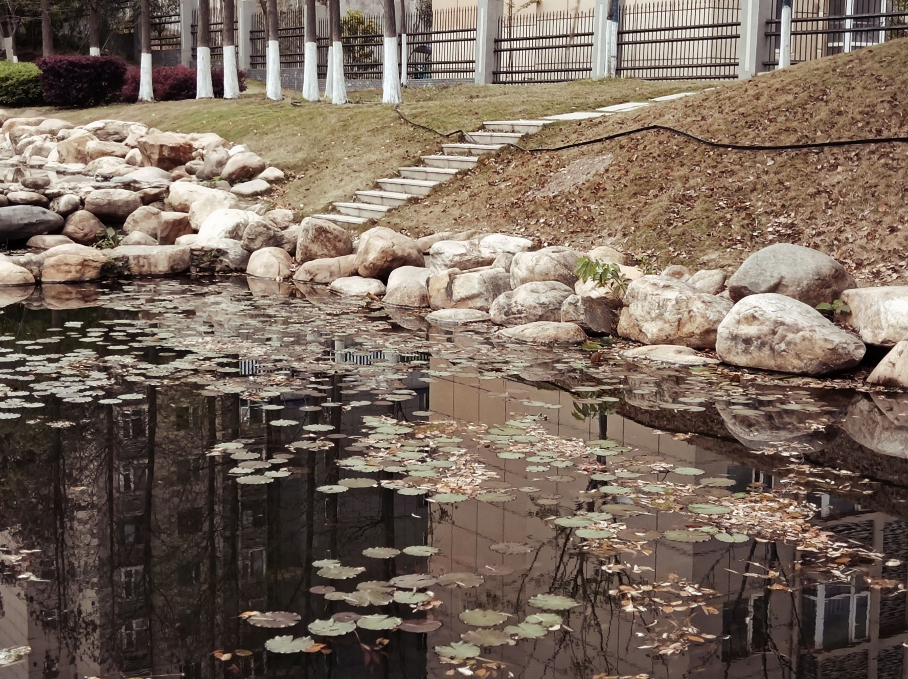 赞贤生态公园旅行图片 1