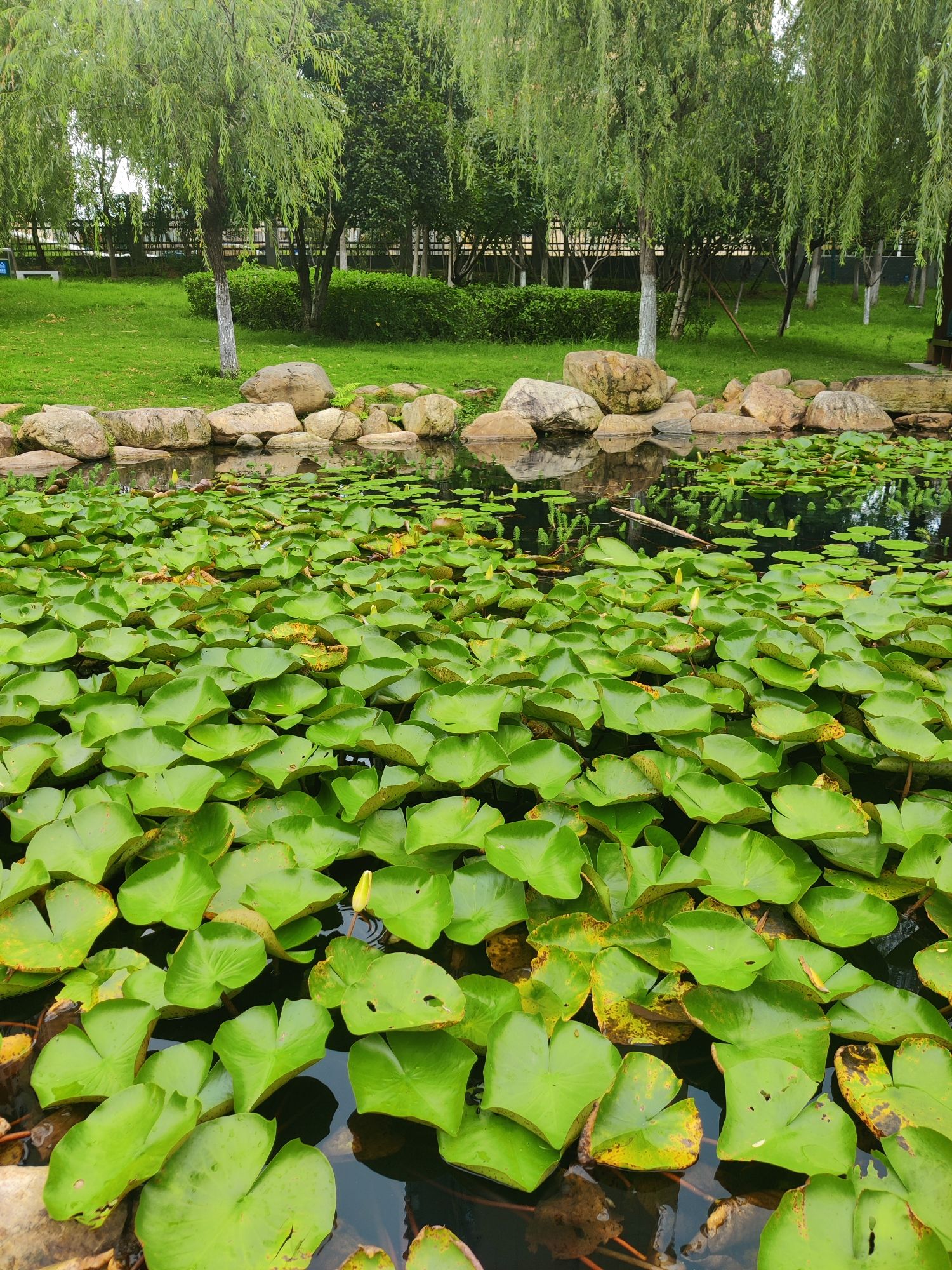 赞贤生态公园旅行图片 2