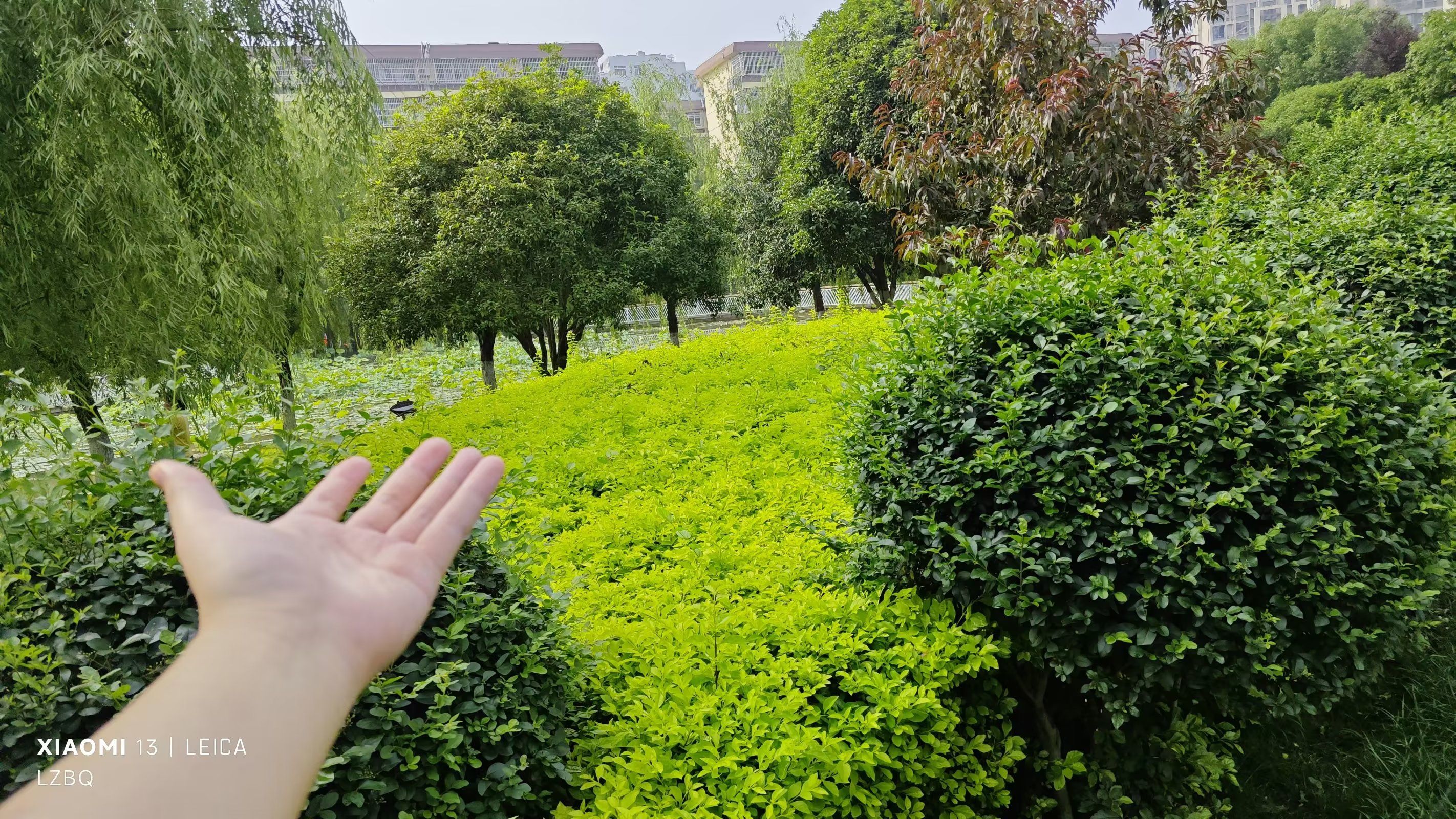 赞贤生态公园旅行图片 2
