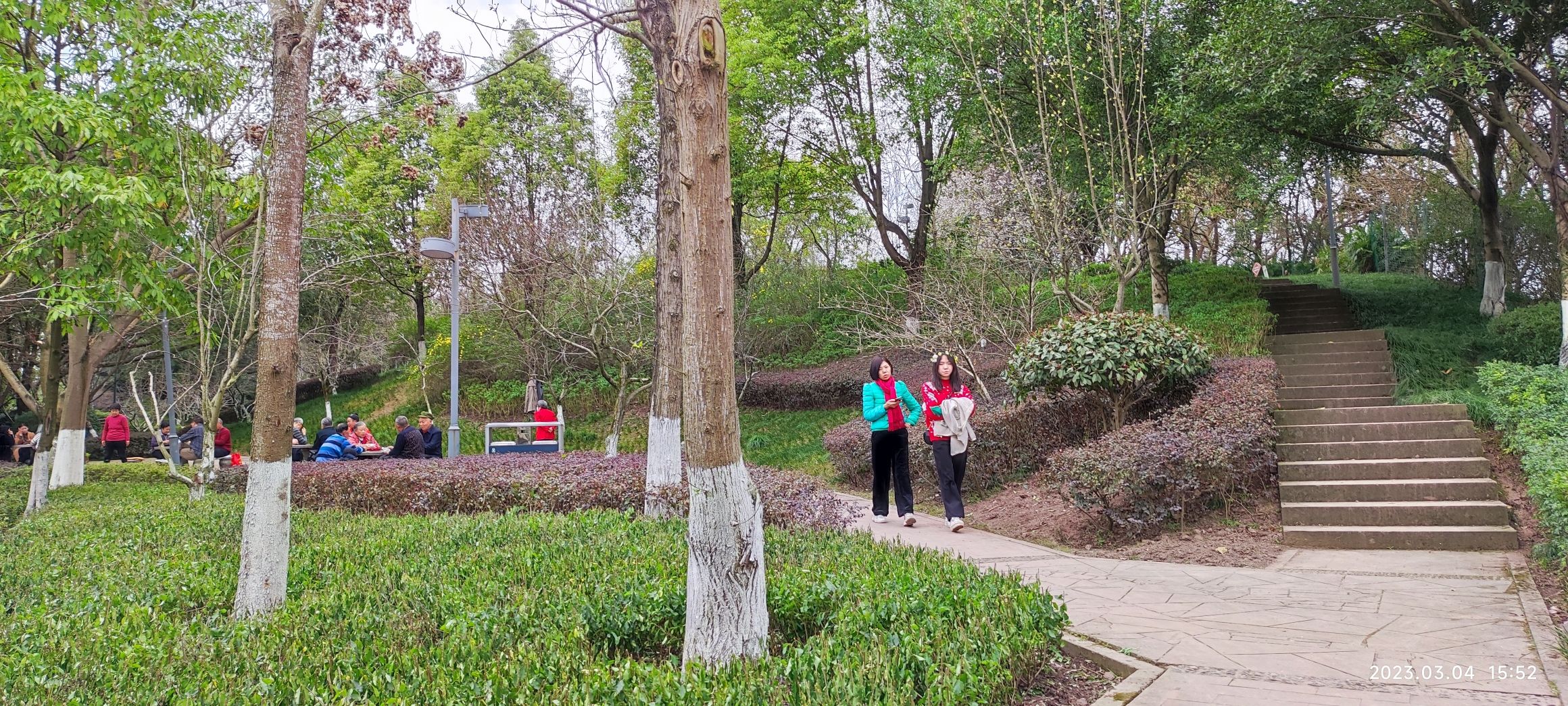 广安市老年人运动公园旅行图片 1