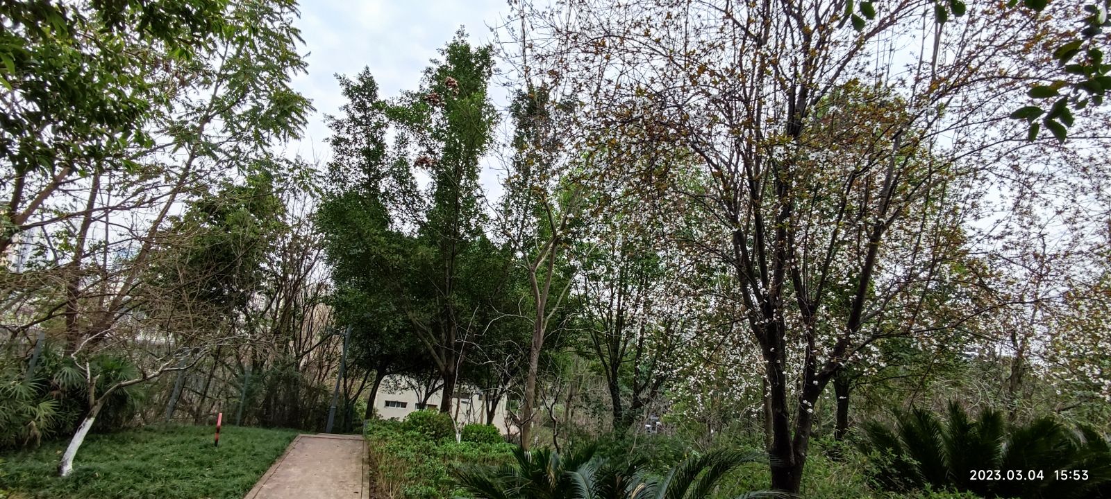 广安市老年人运动公园旅行图片 2