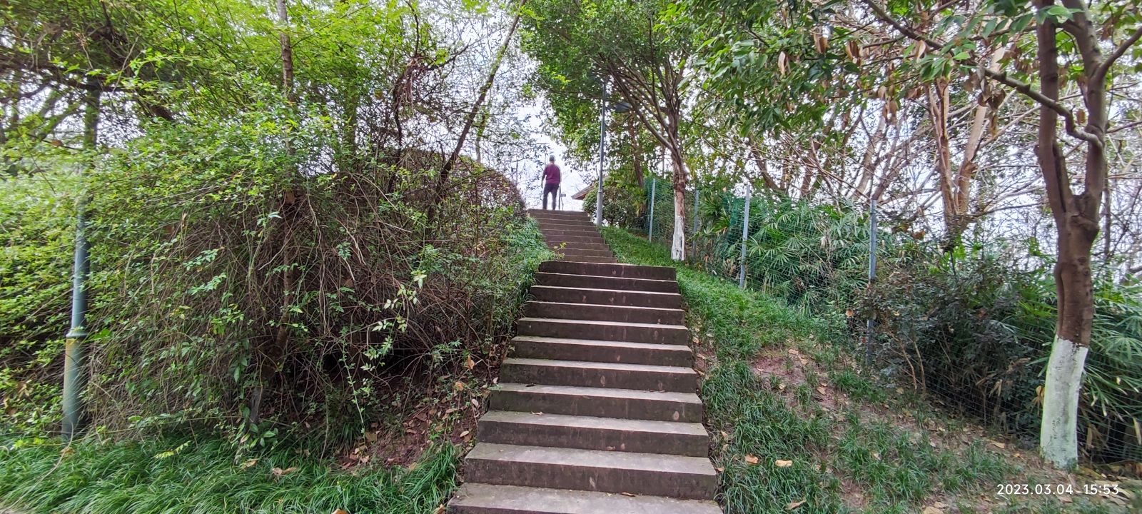 广安市老年人运动公园旅行图片 3