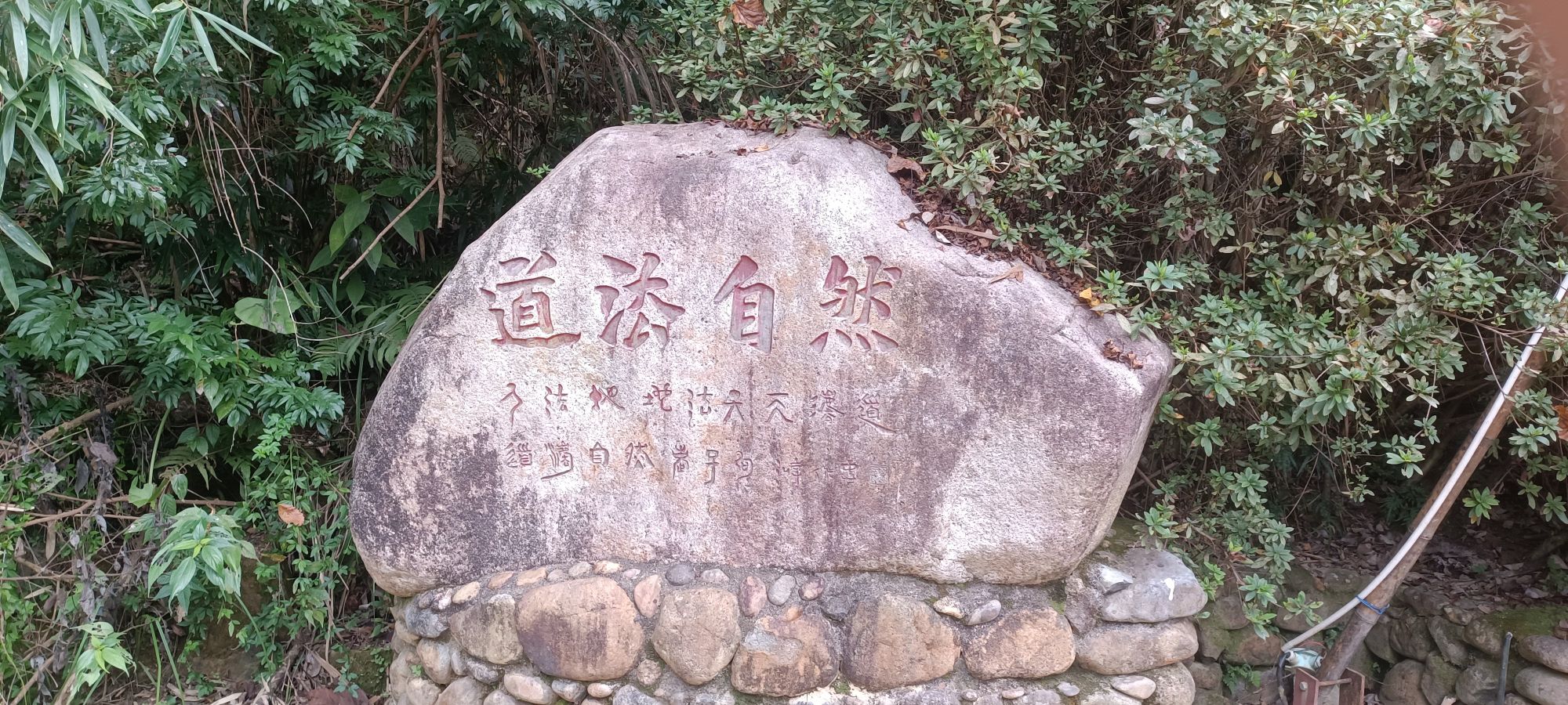 黄褚林温泉旅行图片 3