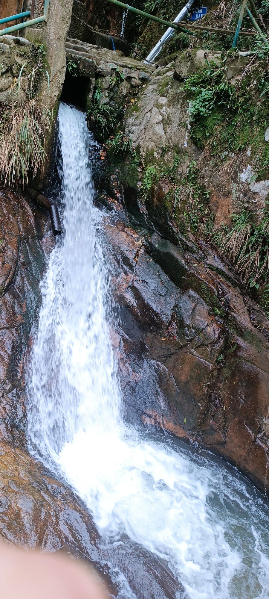 黄褚林温泉旅行图片 1