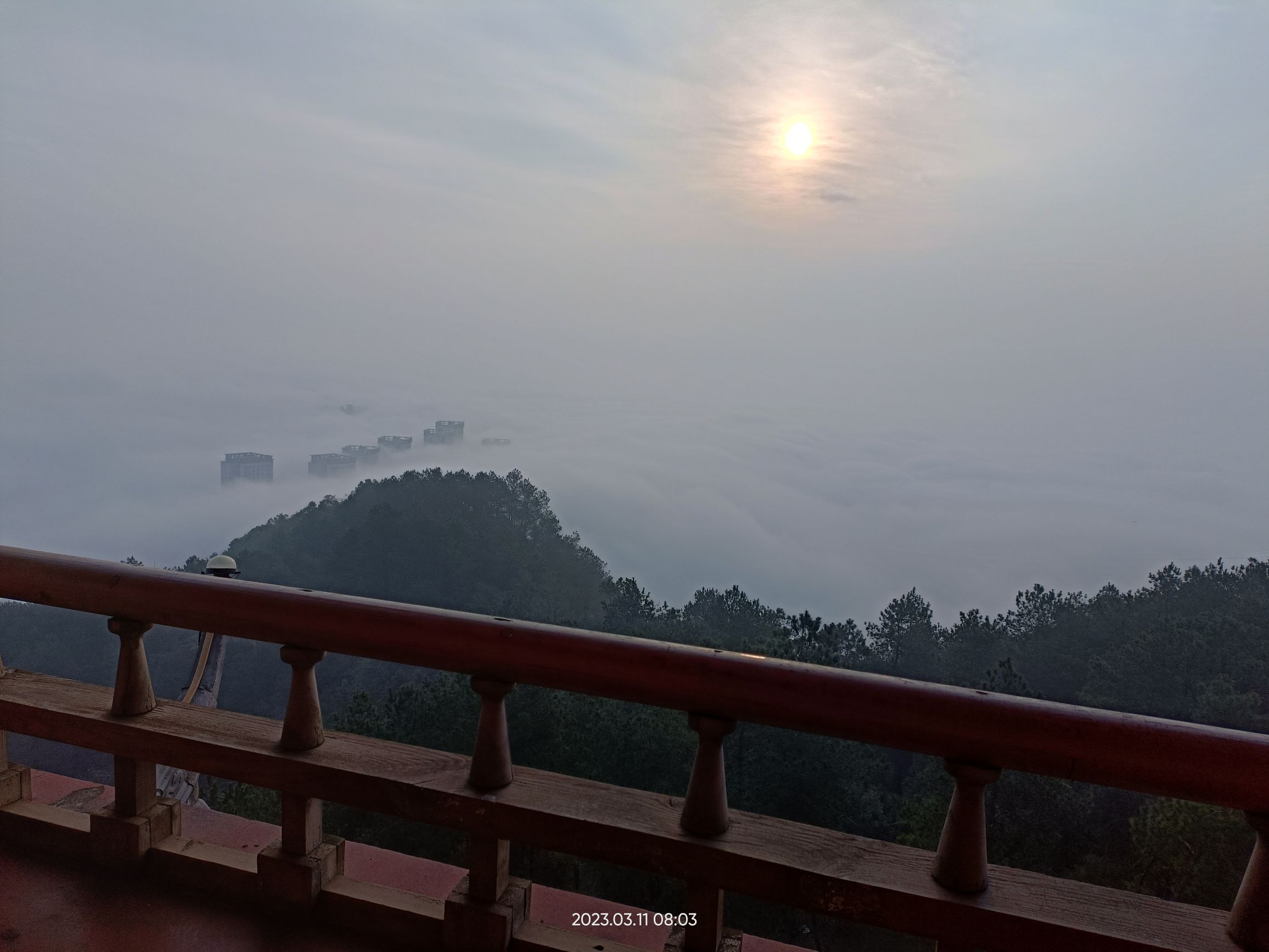 涪陵森林公园旅行图片 3