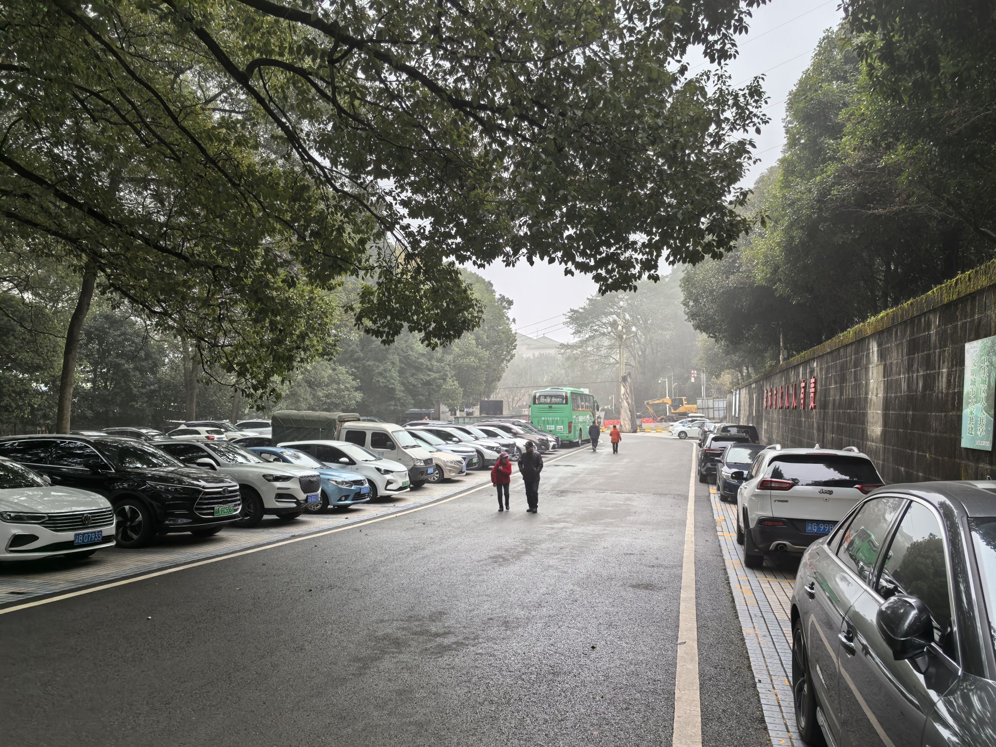 涪陵森林公园旅行图片