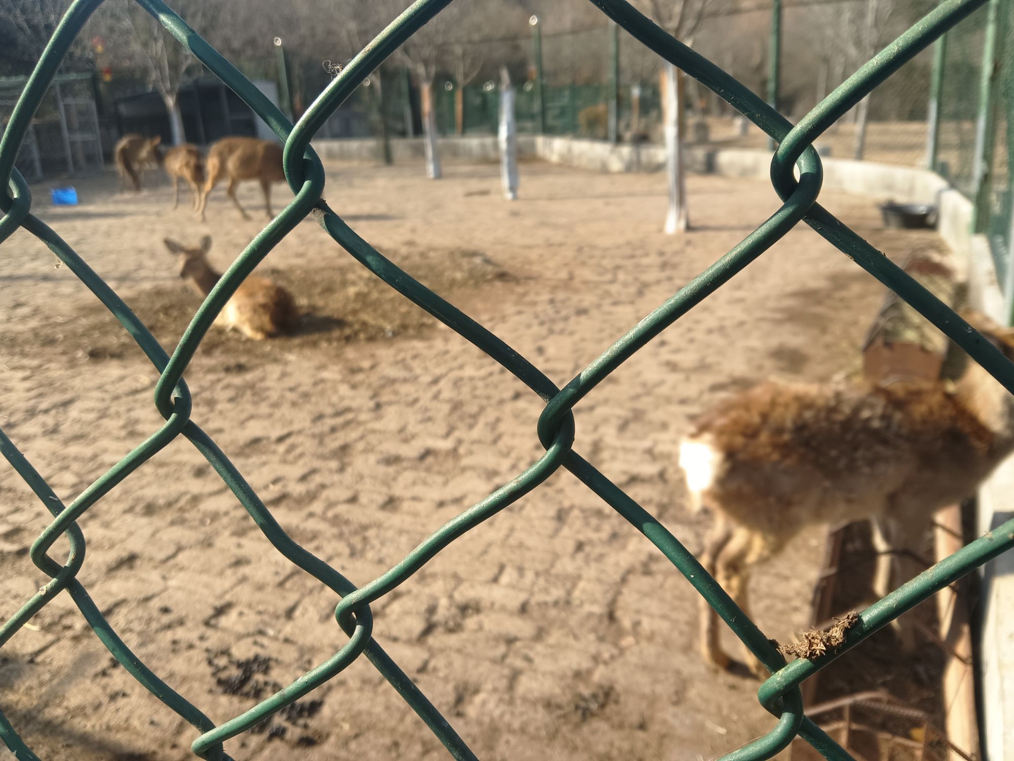 马泉养心谷旅游度假区旅行图片 3