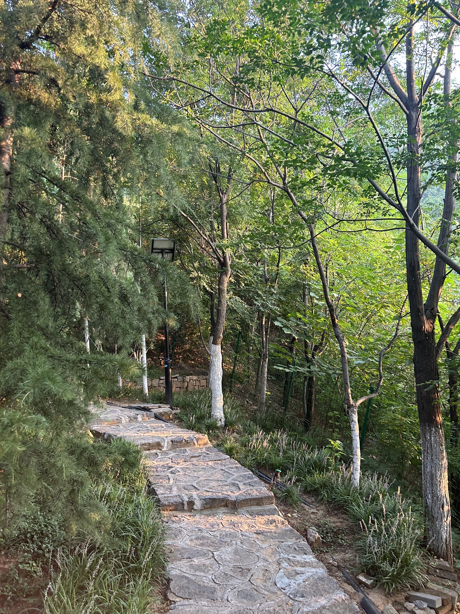 砚泉旅行图片 2