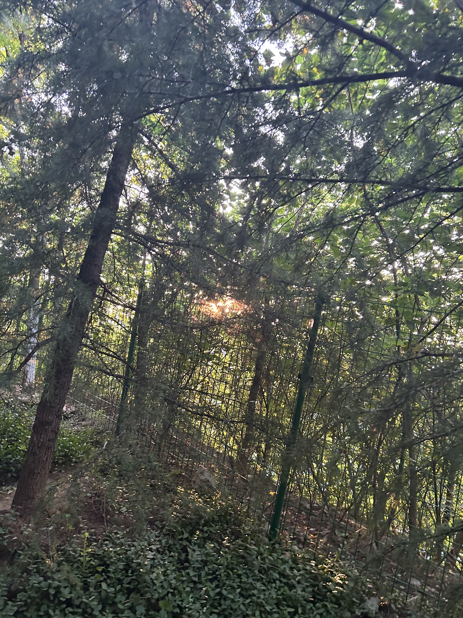 砚泉旅行图片 3