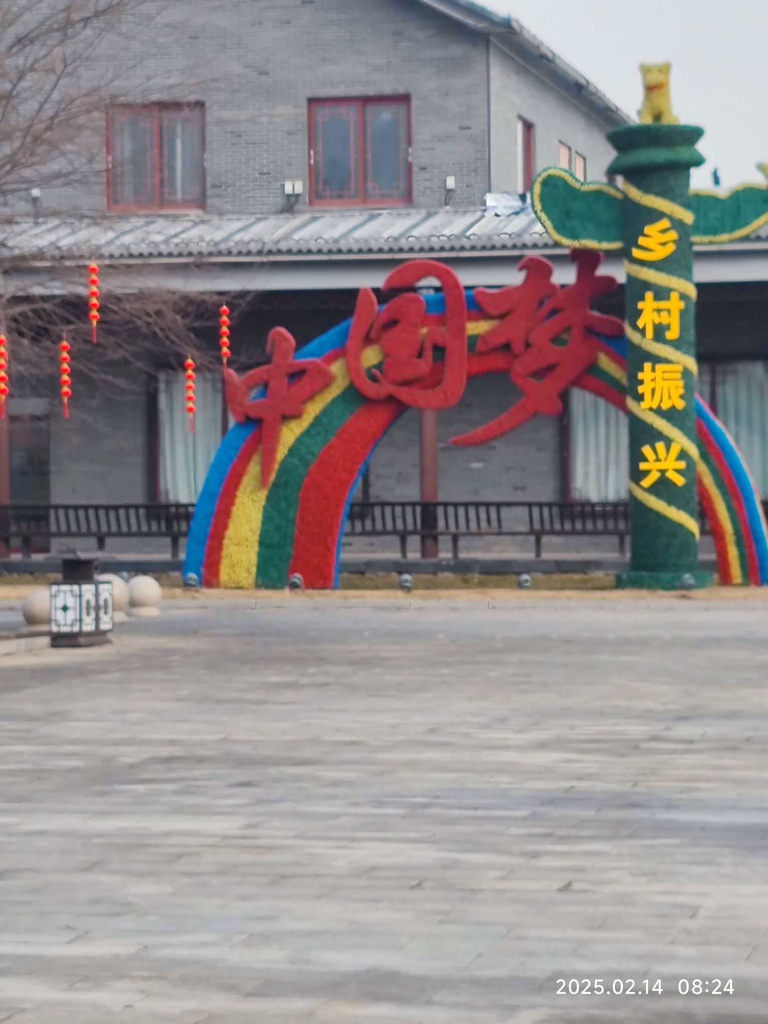 盐城黄尖牡丹园旅行图片 3