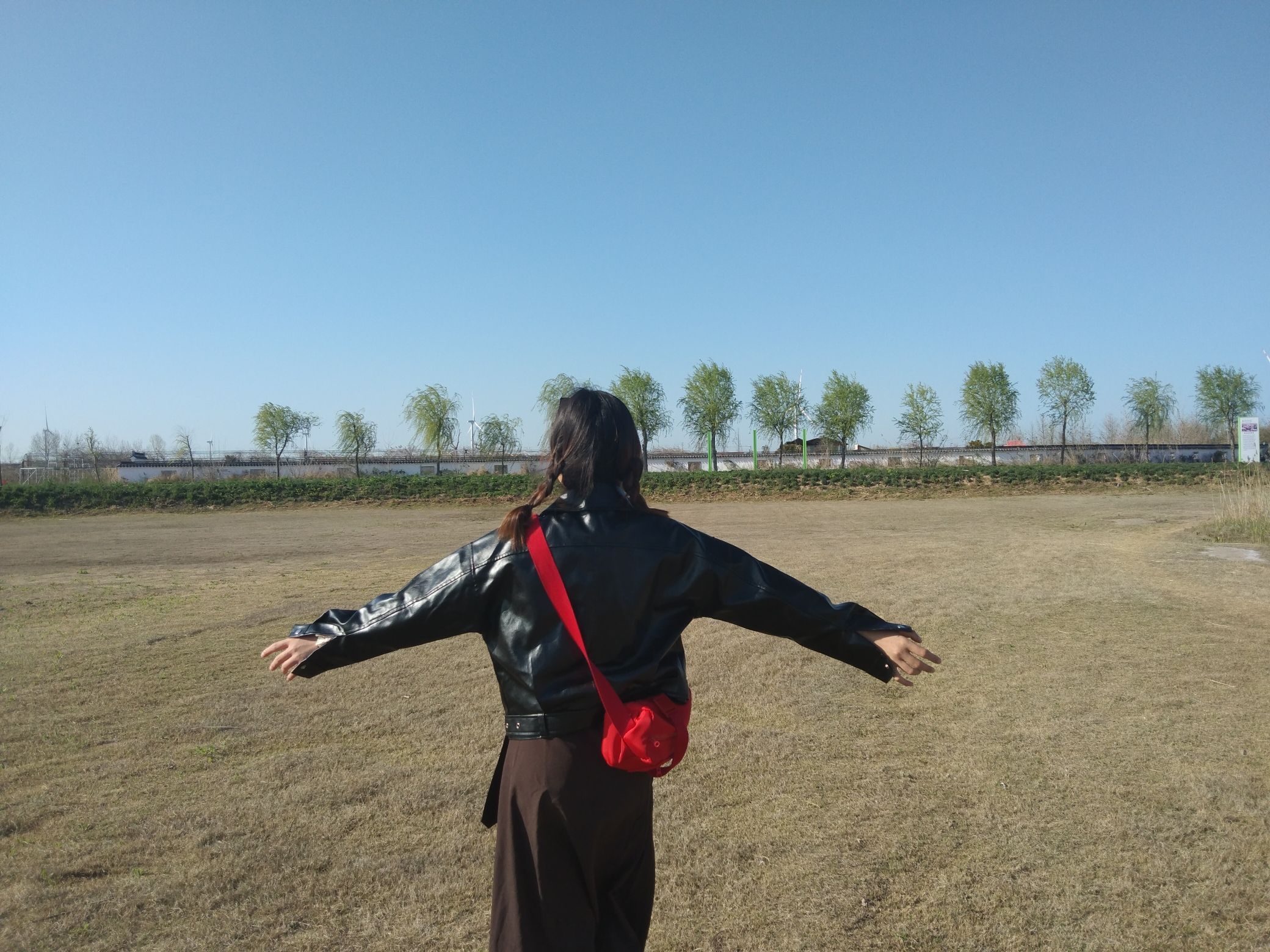 盐城黄尖牡丹园旅行图片 1