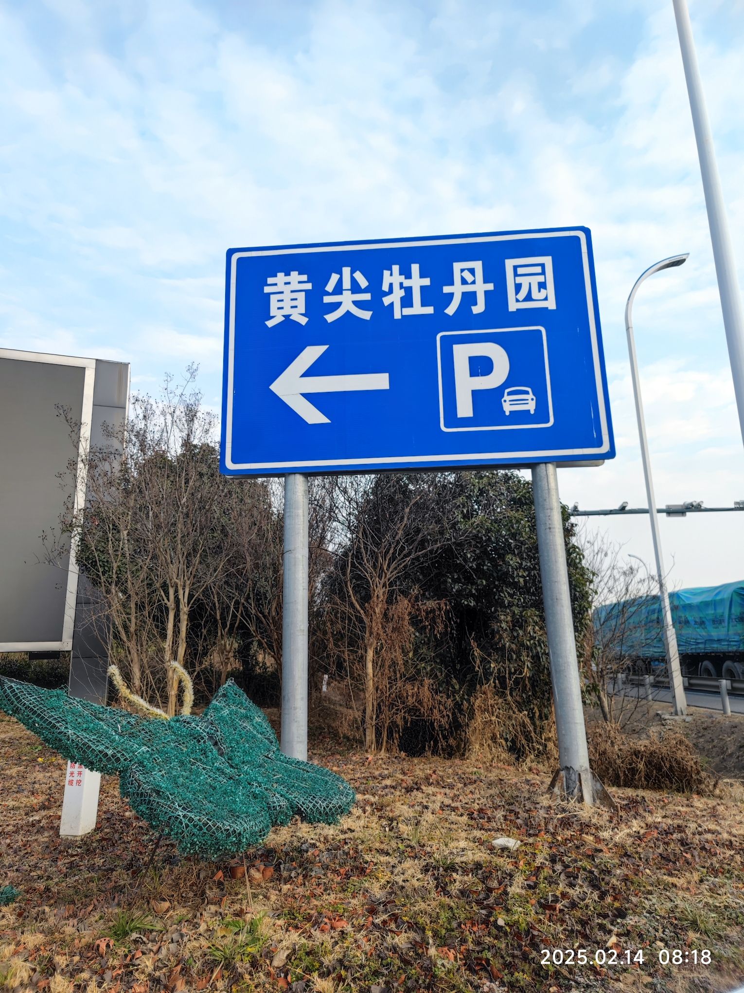 盐城黄尖牡丹园旅行图片 2
