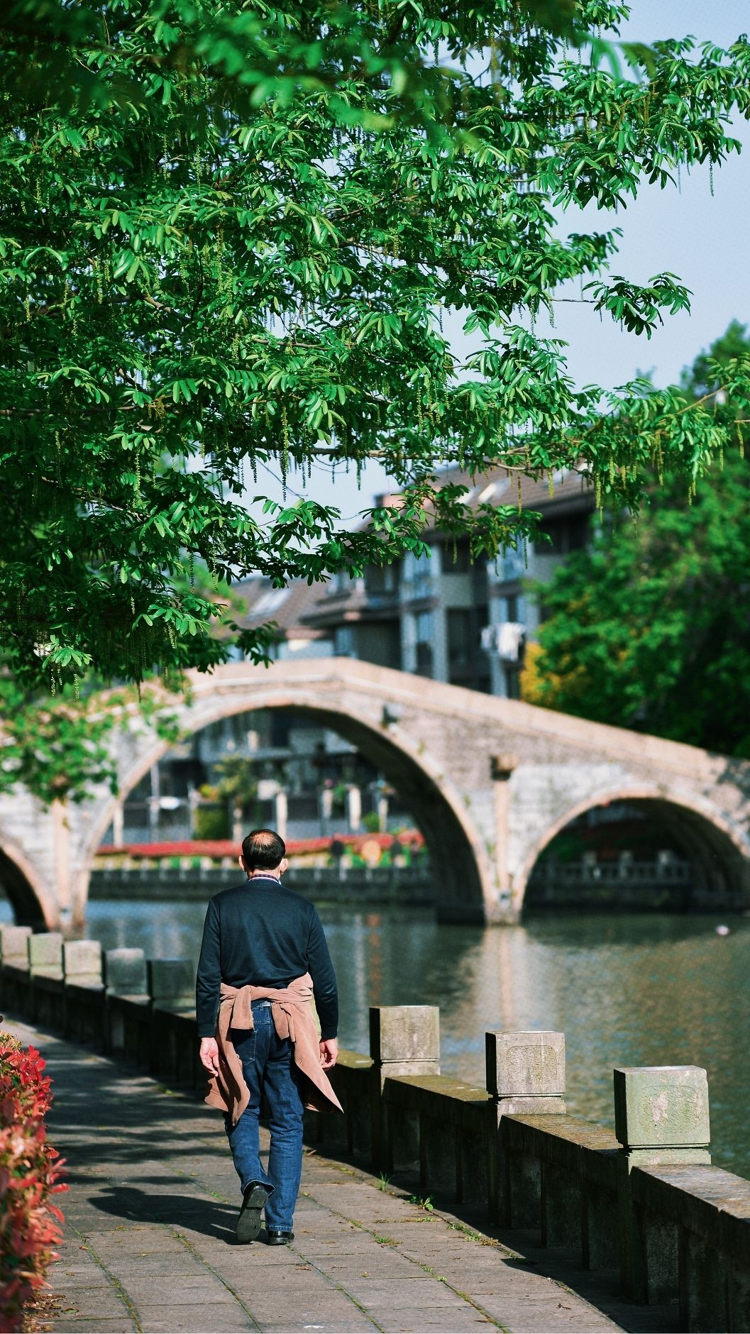 云间第一桥旅行图片 1