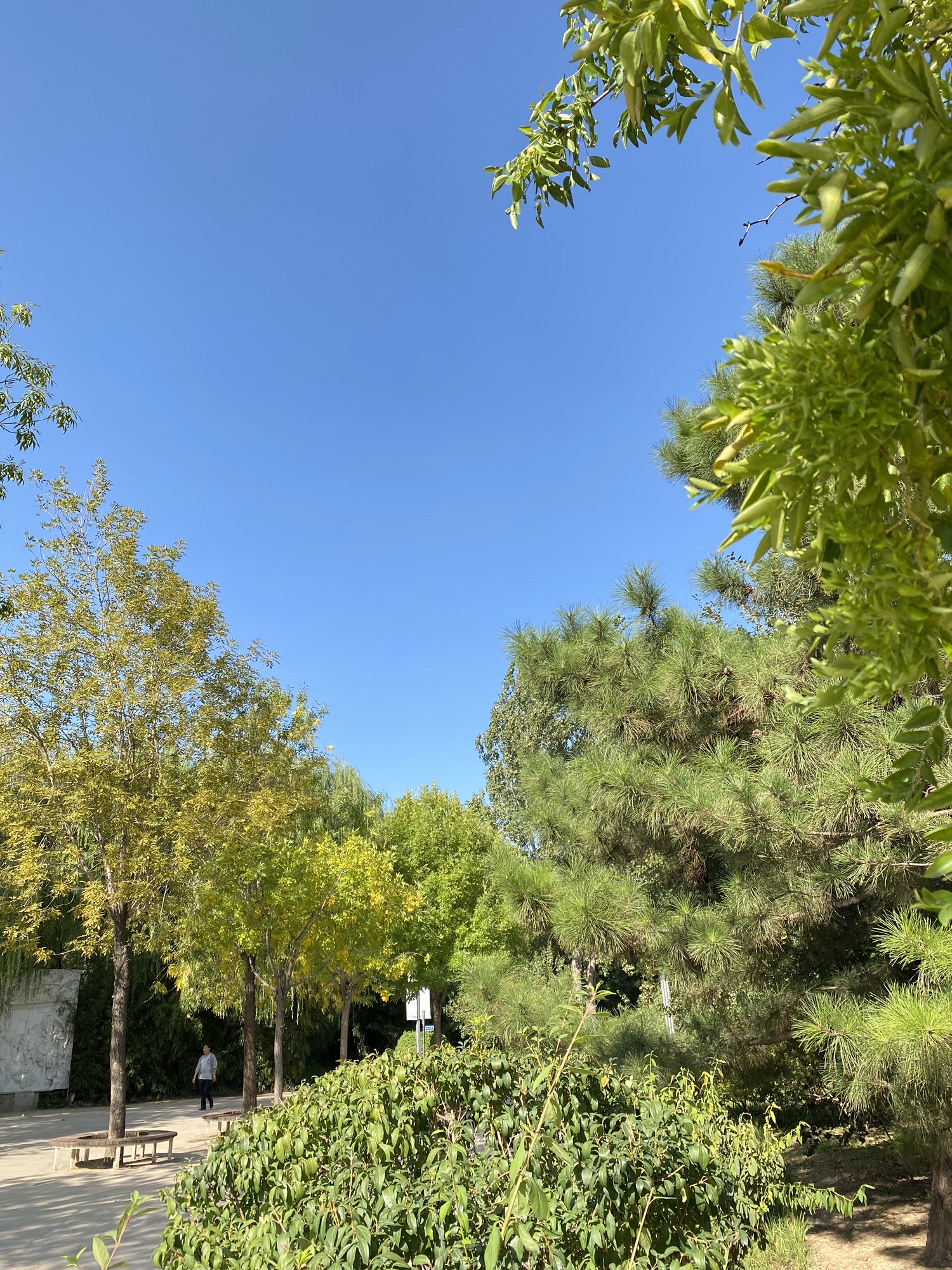 河东文化公园旅行图片 2