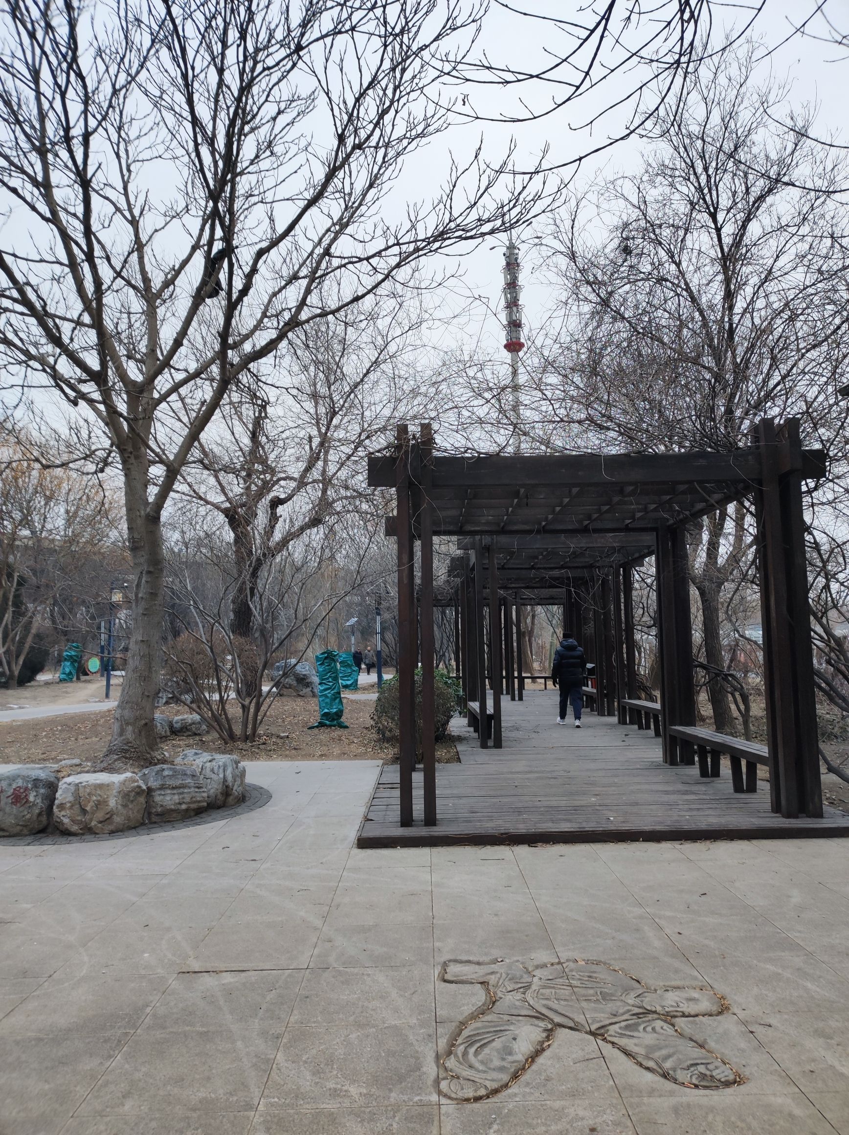 河东文化公园旅行图片 1