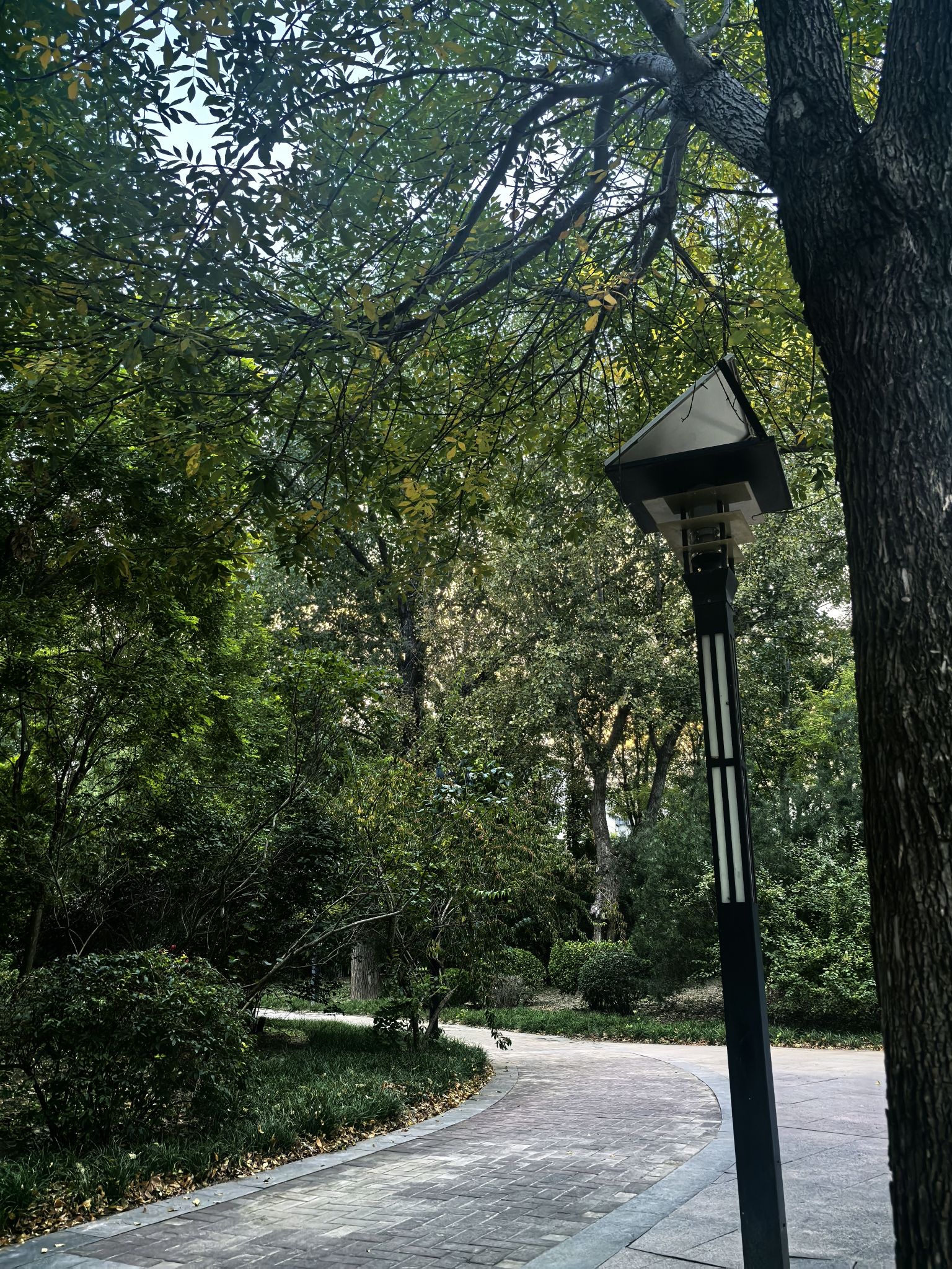 河东文化公园旅行图片 3