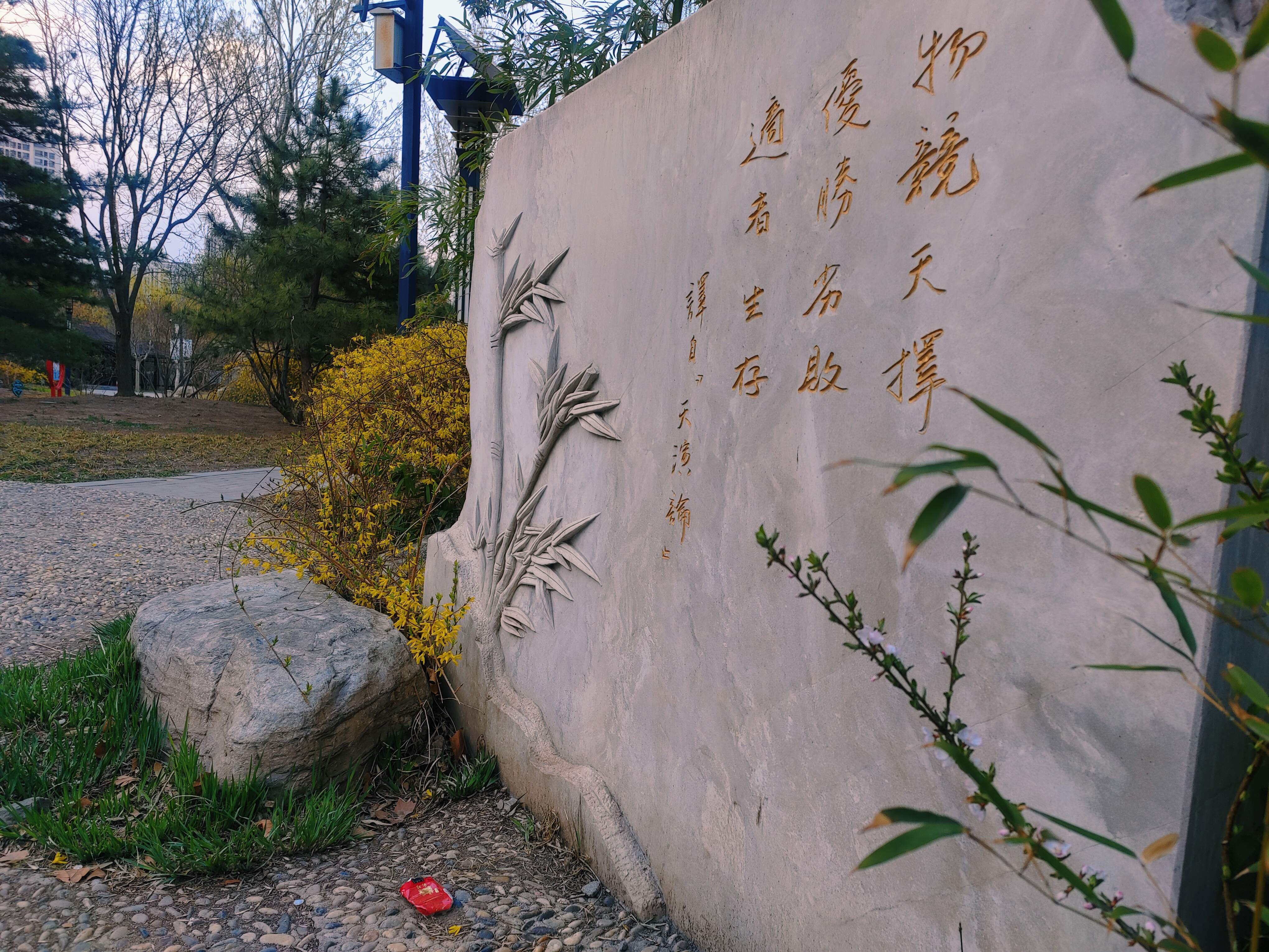 河东文化公园旅行图片 1