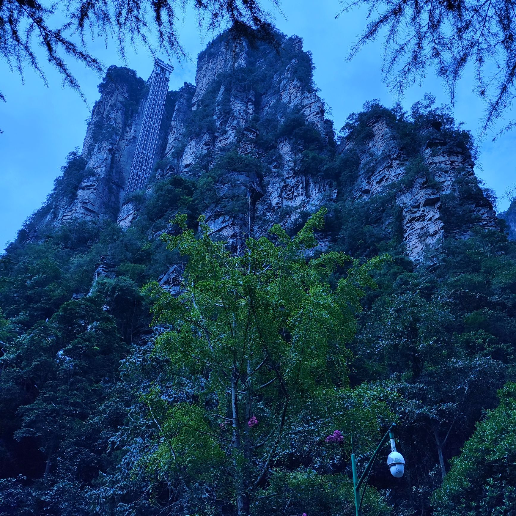 百龙天梯上站观景台
