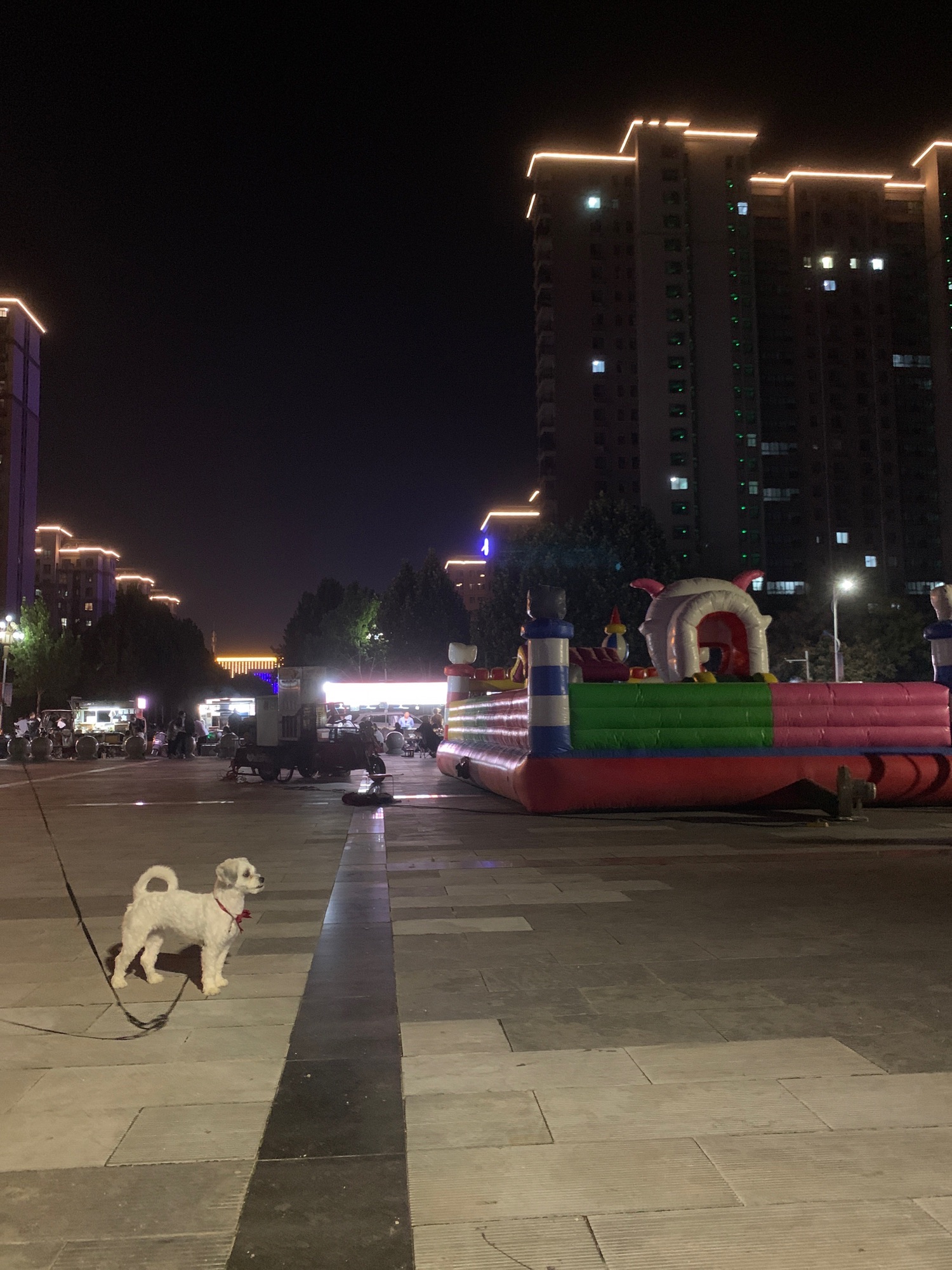 双拥广场旅行图片 2