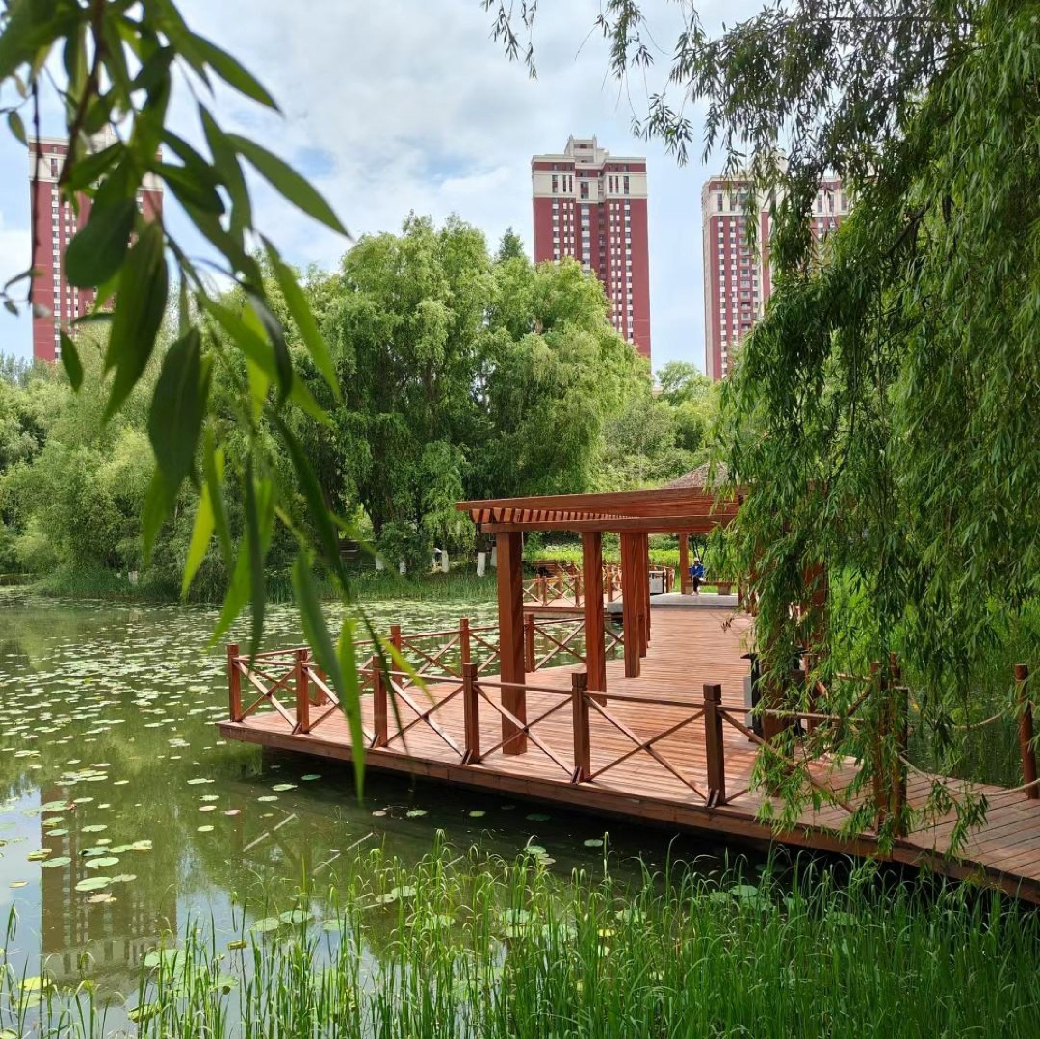 雨阳公园旅行图片 1