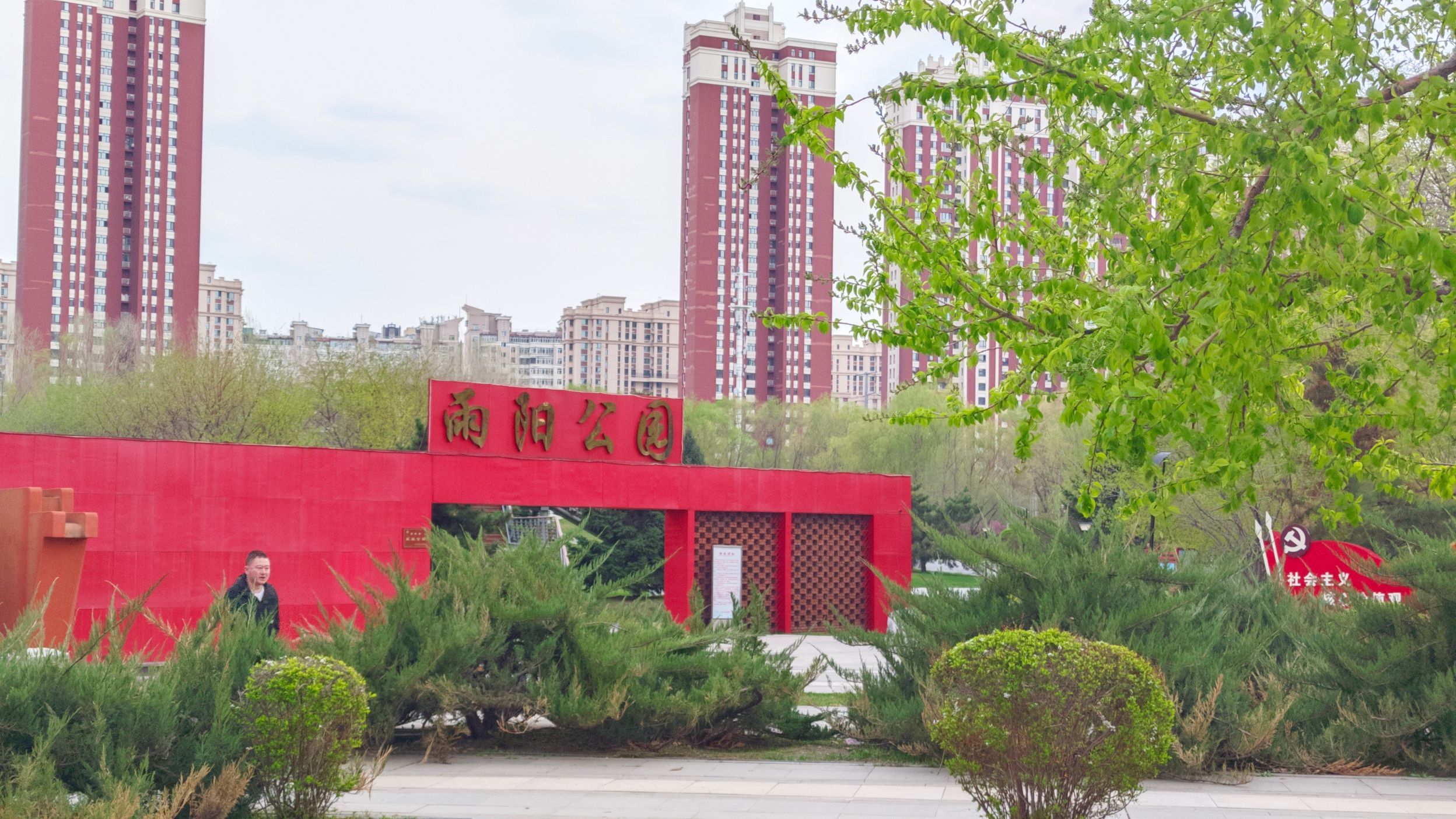 雨阳公园旅行图片 1
