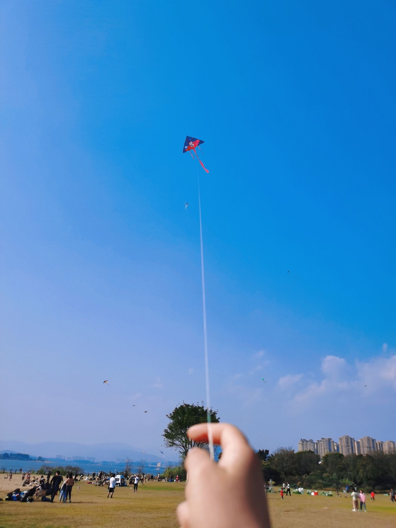 沙滩公园旅行图片 1
