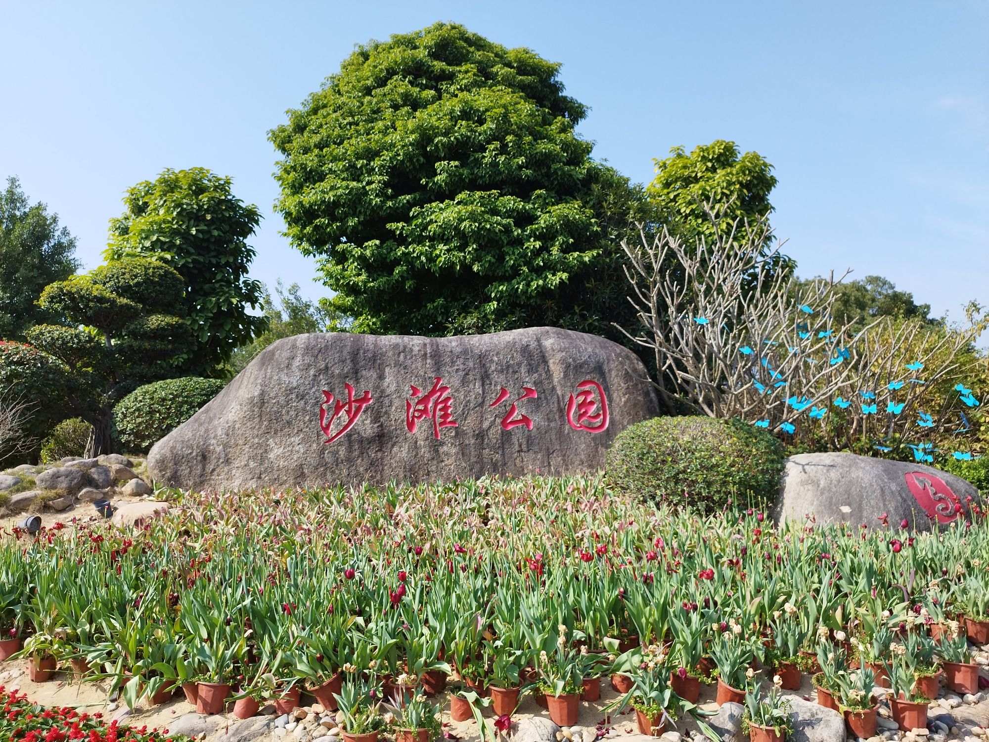 沙滩公园