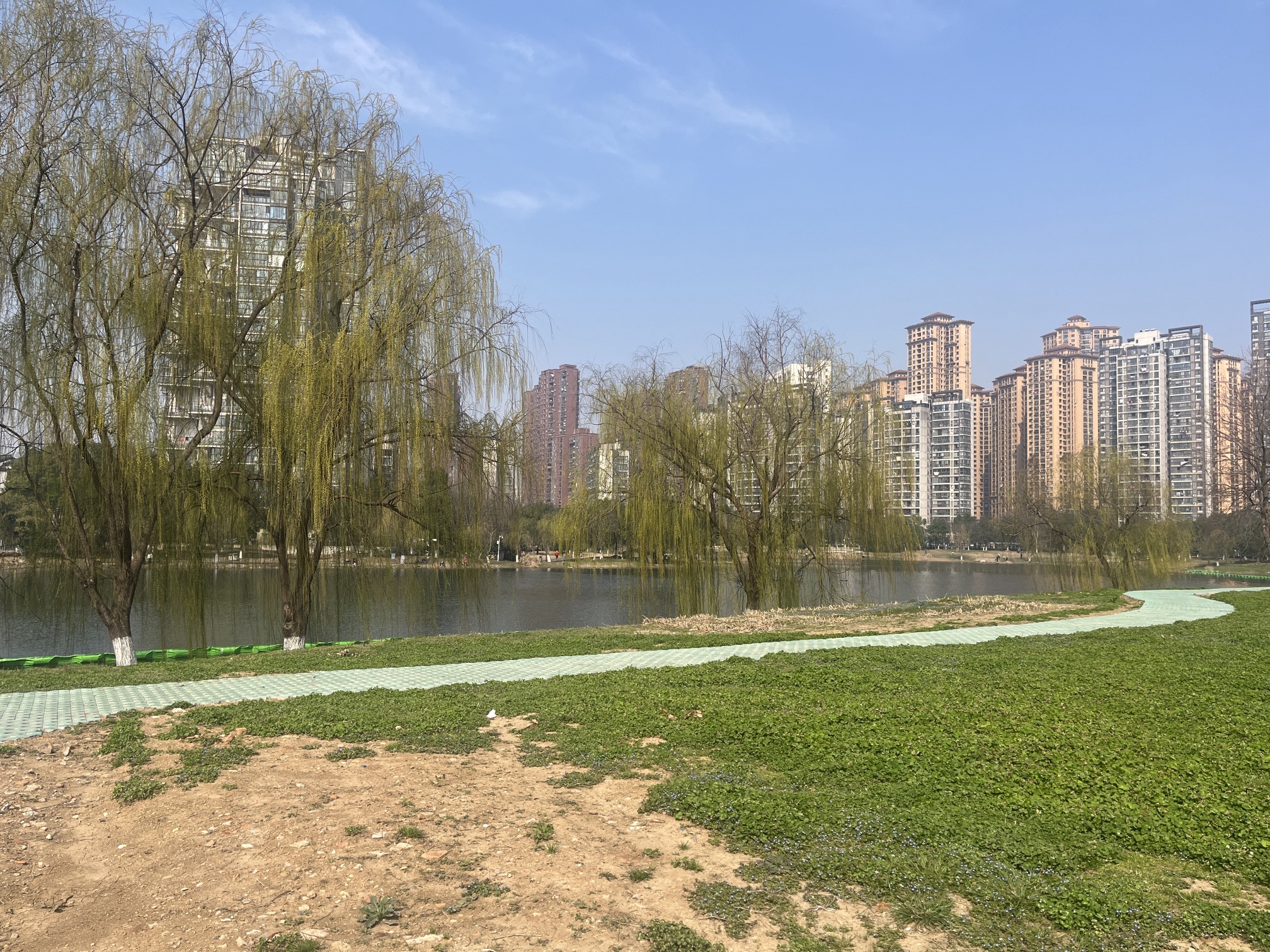 墨水湖公园旅行图片 3
